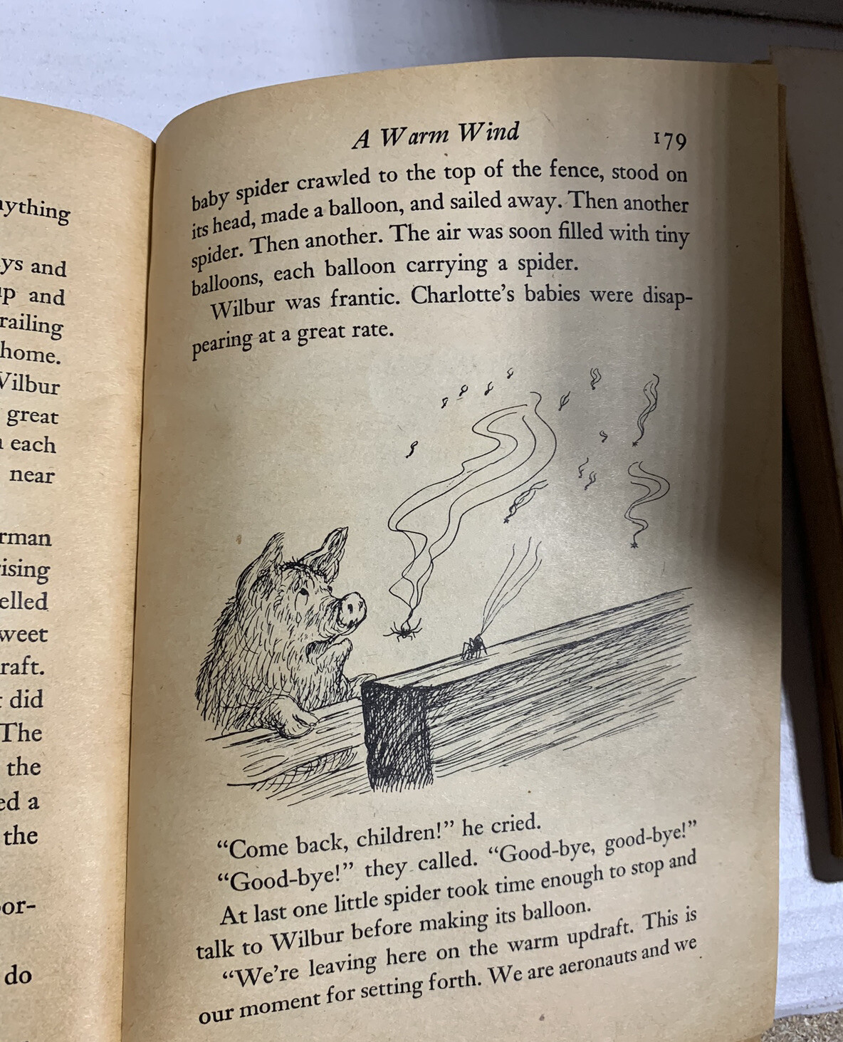 Vintage Traditional Children’s Books Charlotte’s Web, Wizard of Oz & Judy Blume
