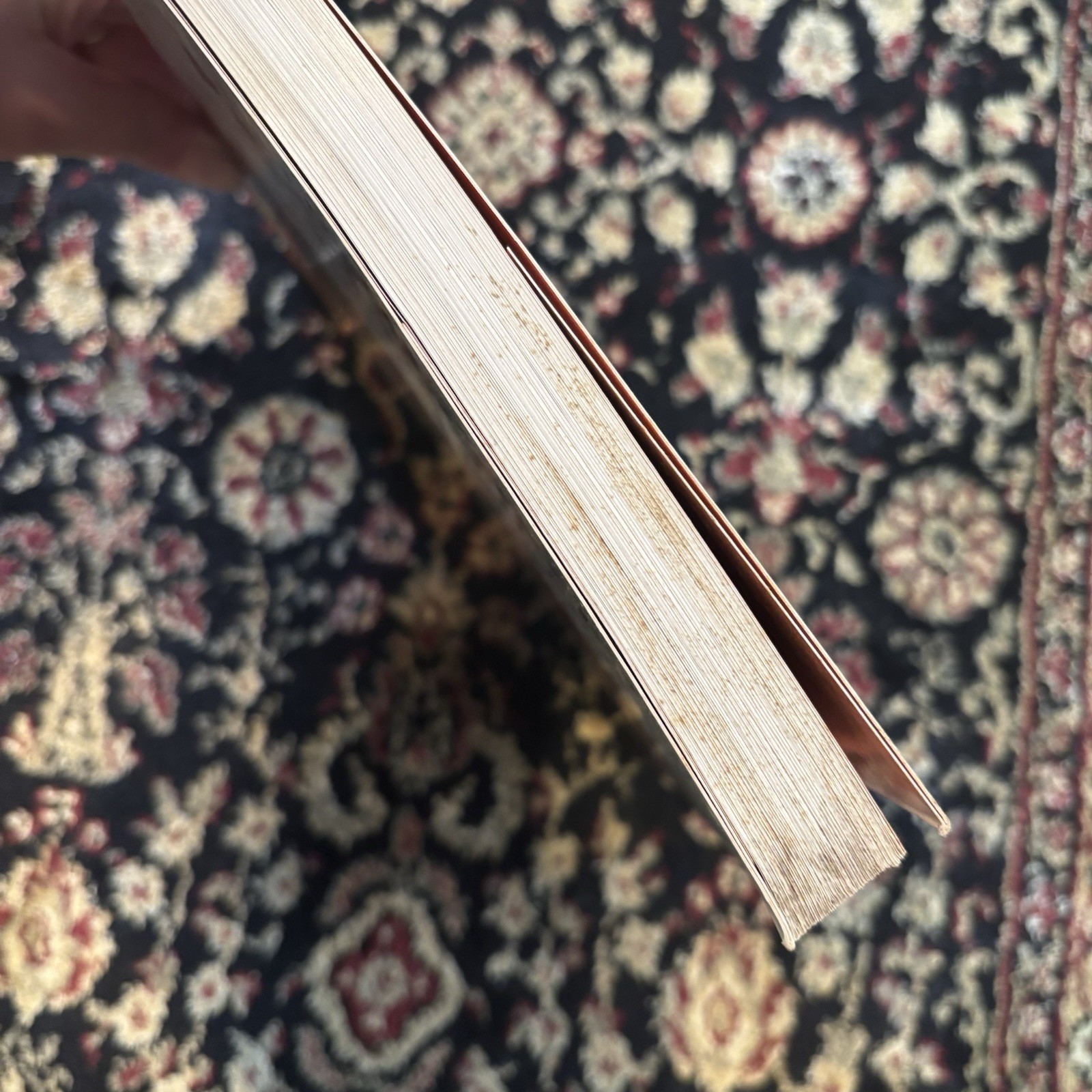 The Horse’s Pain-Free Back and Saddle-Fit Book by Joyce Harman