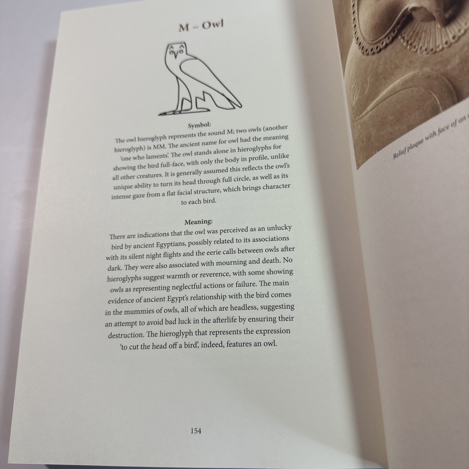 Ancient Egyptian Hieroglyphs Illustrated by Trevor Naylor 2025 Pr. Amber