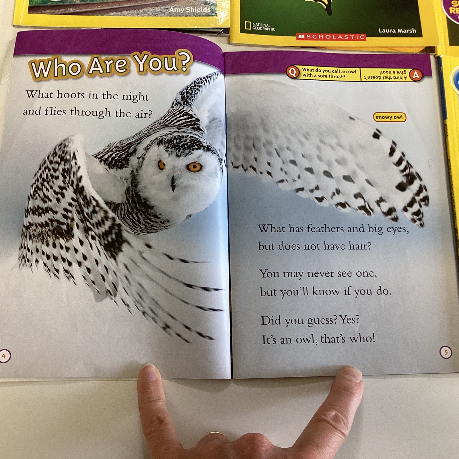 National Geographic Level 1 & 2 Readers Kindergarten 1st 2nd Grade 11 Book Lot