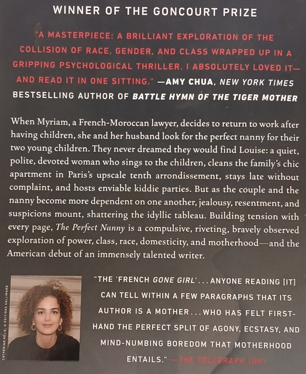 The Perfect Nanny By Leila Slimani Paperback 228 Pages