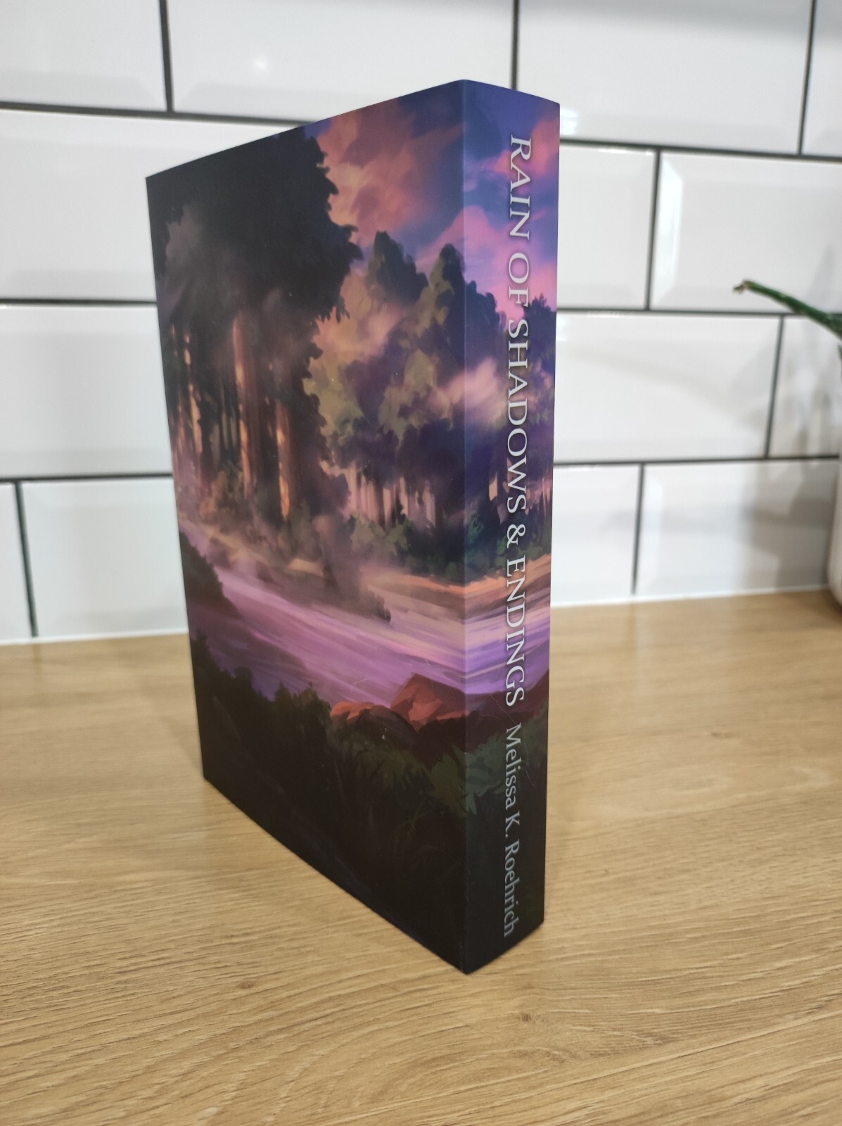 Rain of shadows and endings Special edition by Books for days Crate
