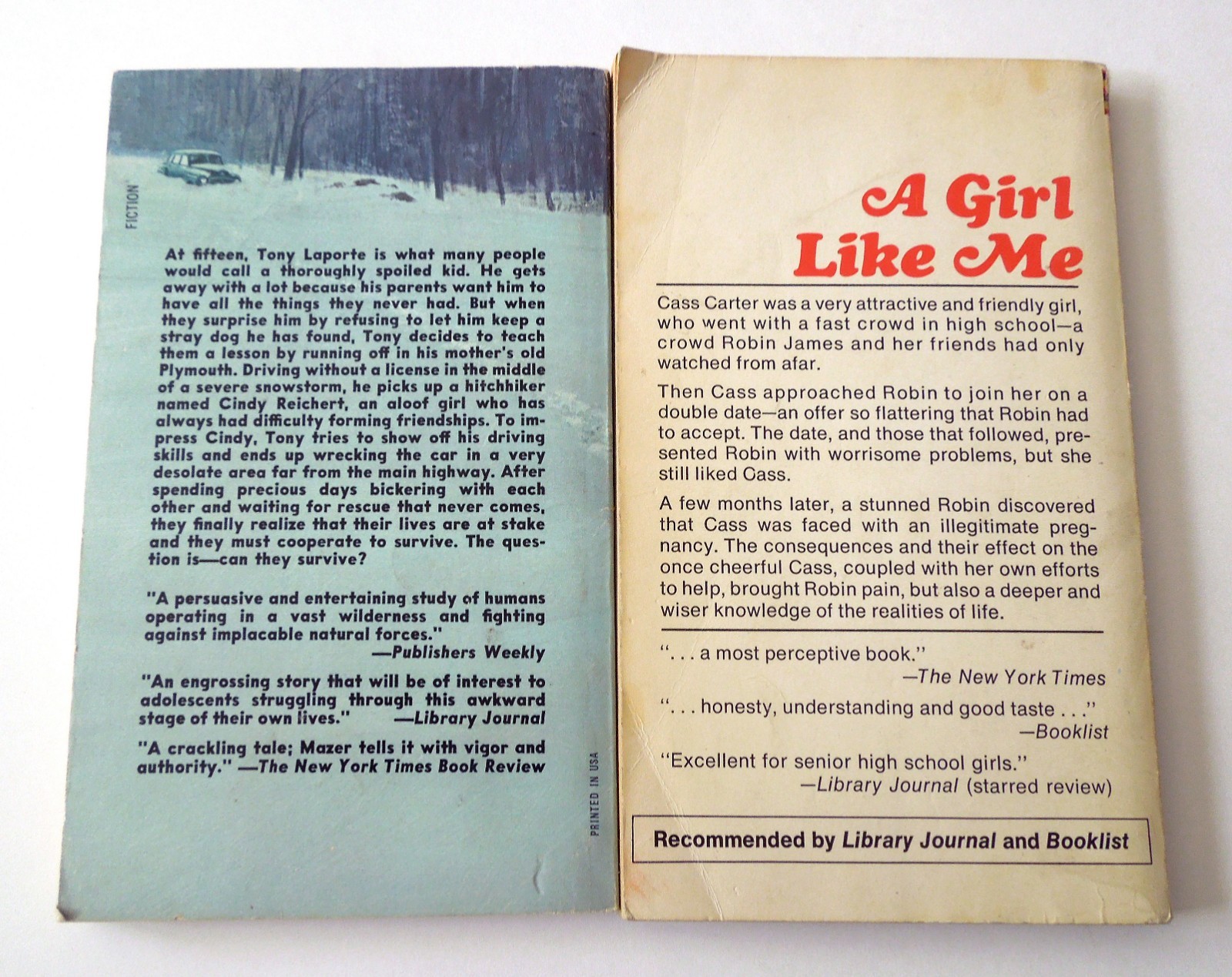 Lot of 20 Vintage 1970s Fiction Pocketbooks: Snow Bound, Being There, +18