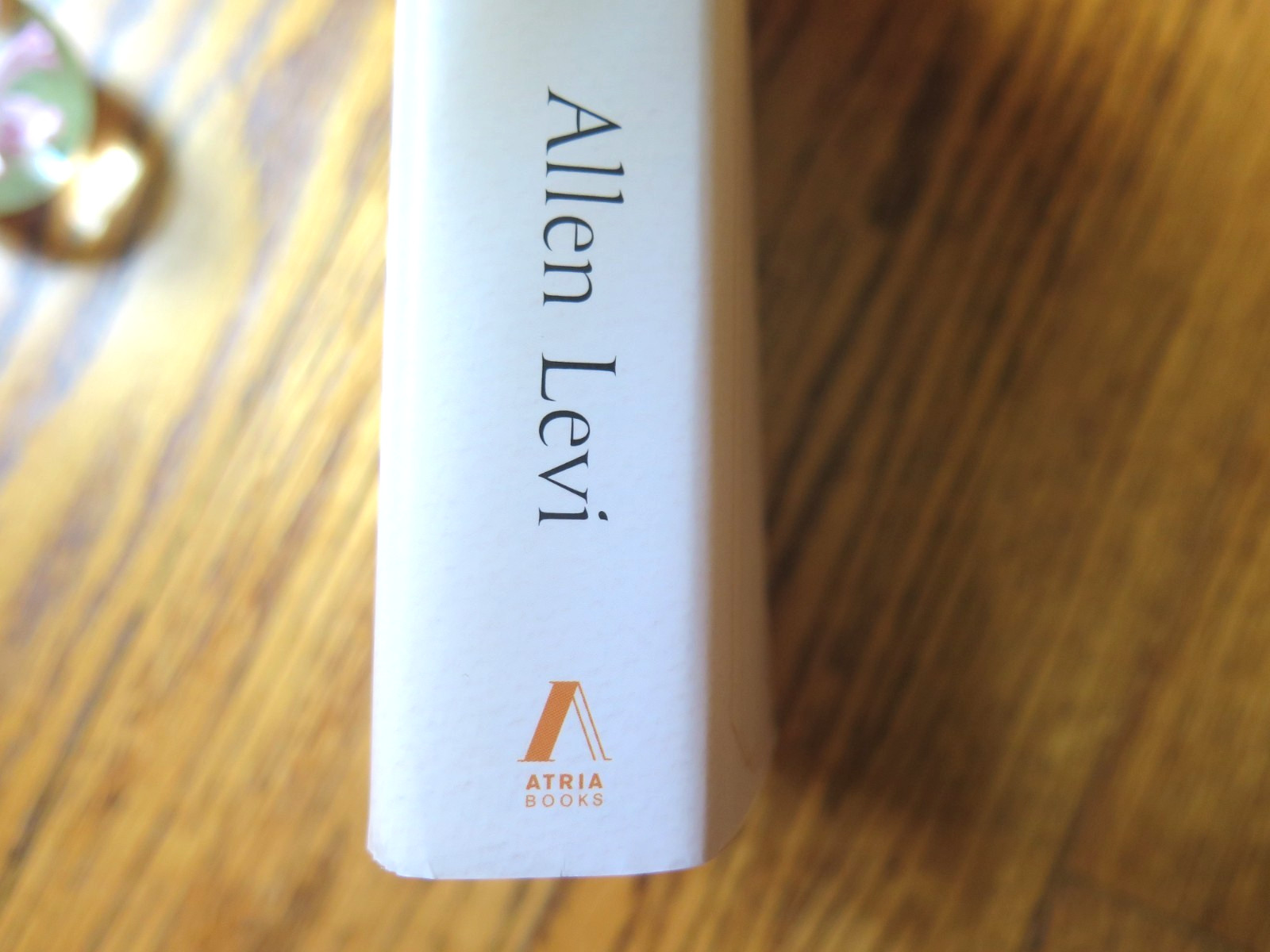 SIGNED by Allen Levi | Theo of Golden | 1st Edition, 6th Printing