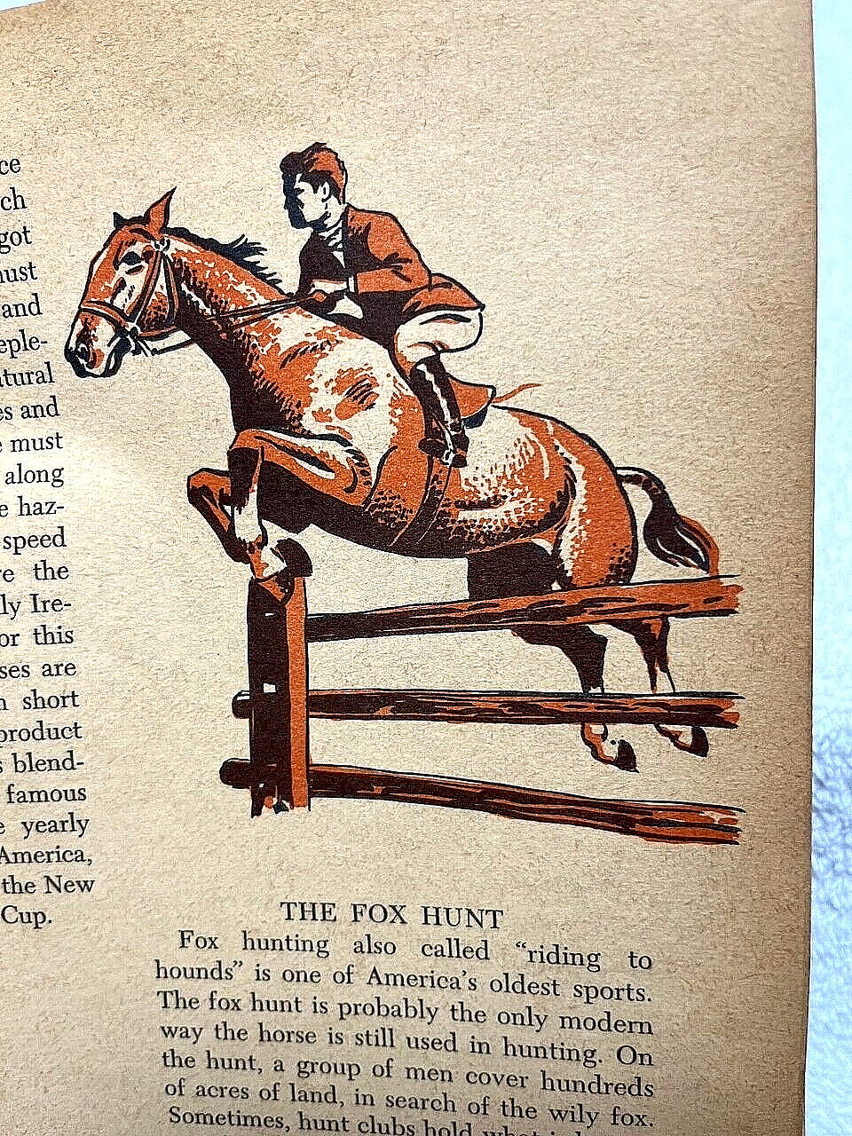 1955 HORSES Fletcher Nino Carbe History Breeds Equestrian Riding Indian Western