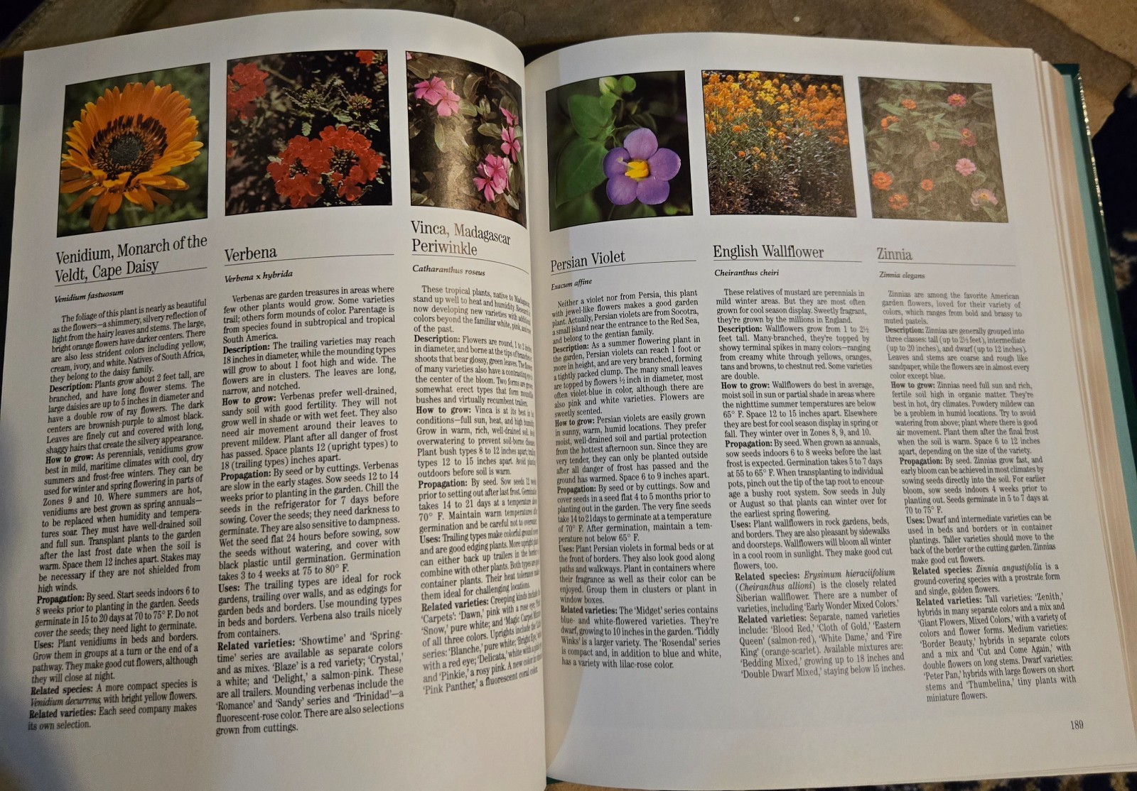1994 Treasury Of Gardening Annuals Perennials Herbs Etc 1st Edition HC Like New