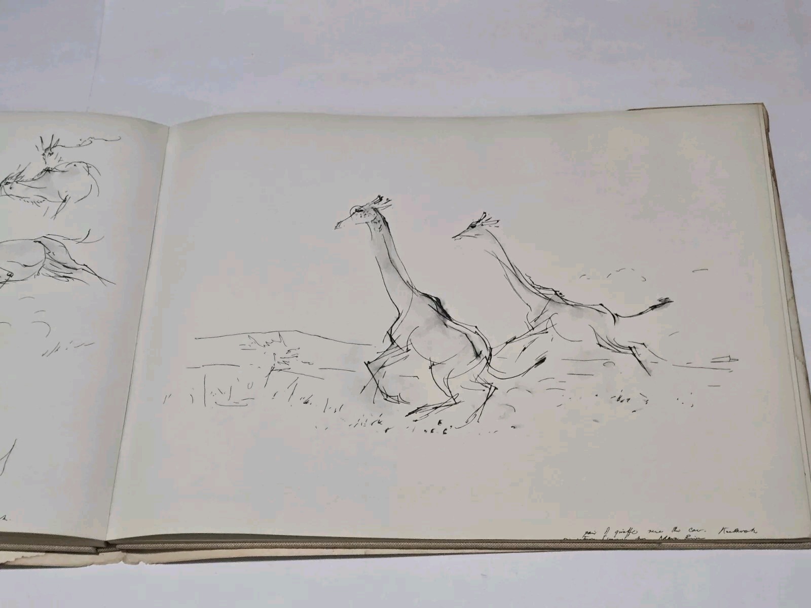 An Artist’s Safari By Ralph Thompson 1970 Hardcover DJ Artist Sketch Book
