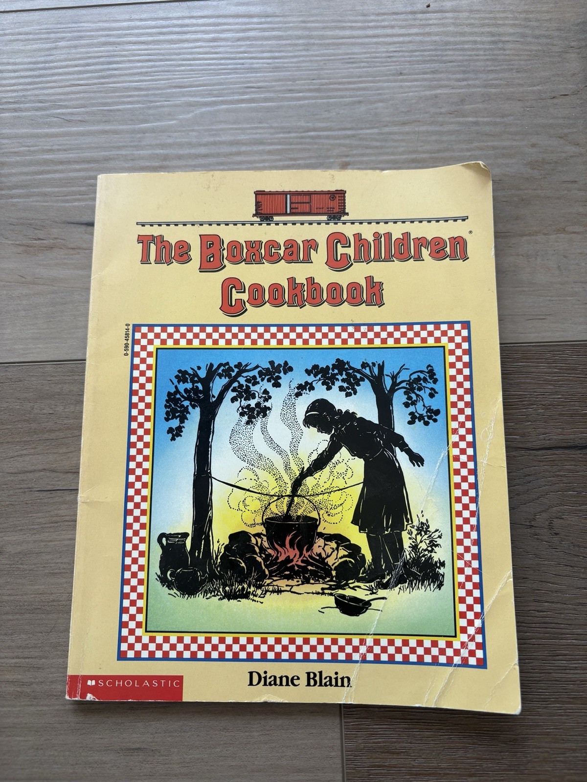Gertrude Chandler Warner the Boxcar Children Set Of 9 Books And The Cookbook