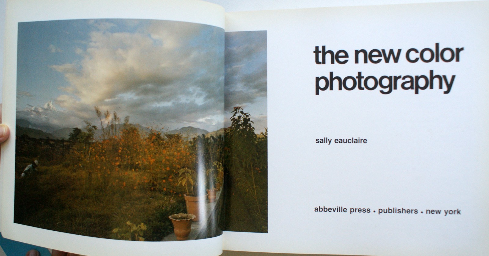 NEW COLOR/NEW WORK, THE NEW COLOR, Sally Eauclaire Abbeville Press 1st Ed. [368]