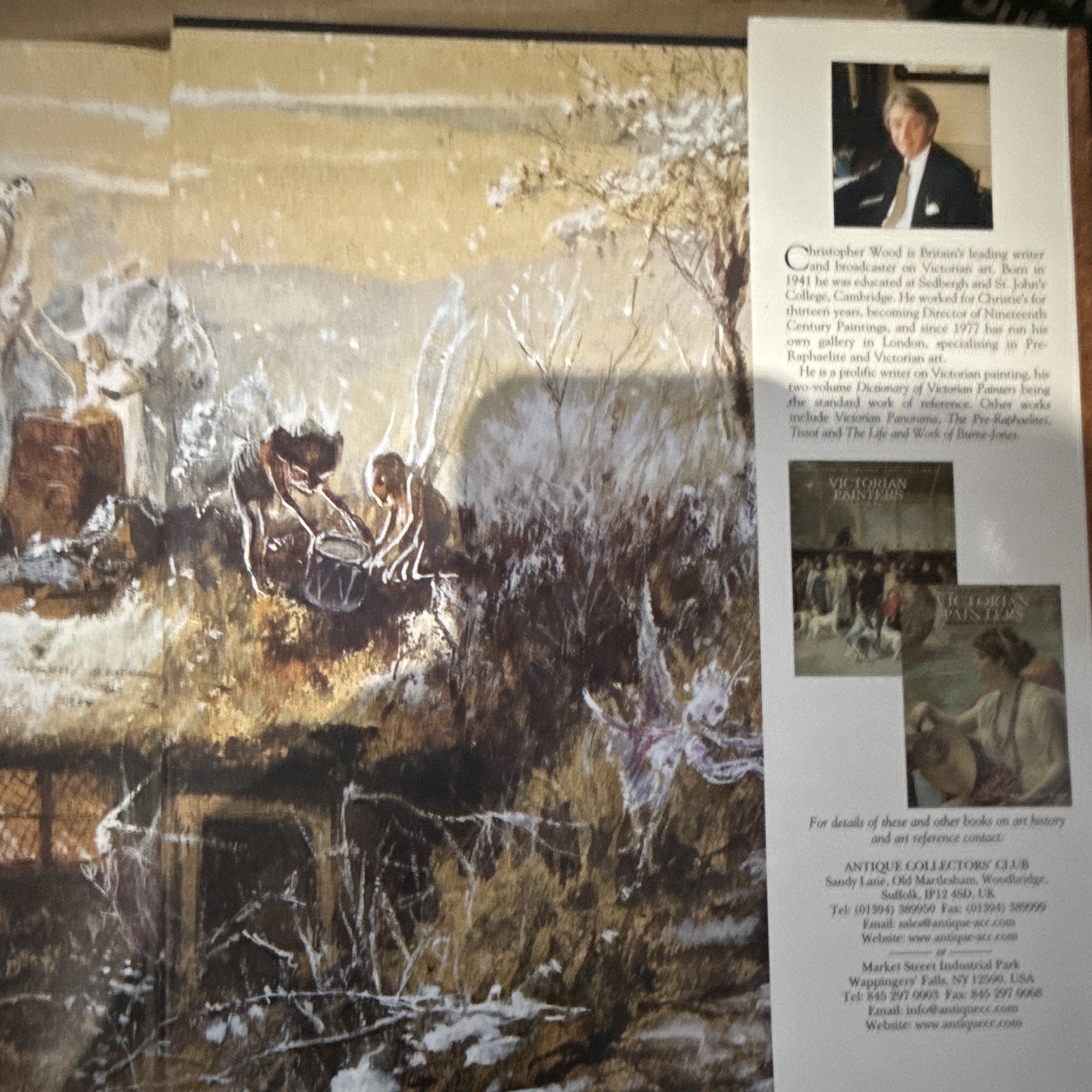 Fairies in Victorian Art by Christopher Wood (2000, Hardcover)