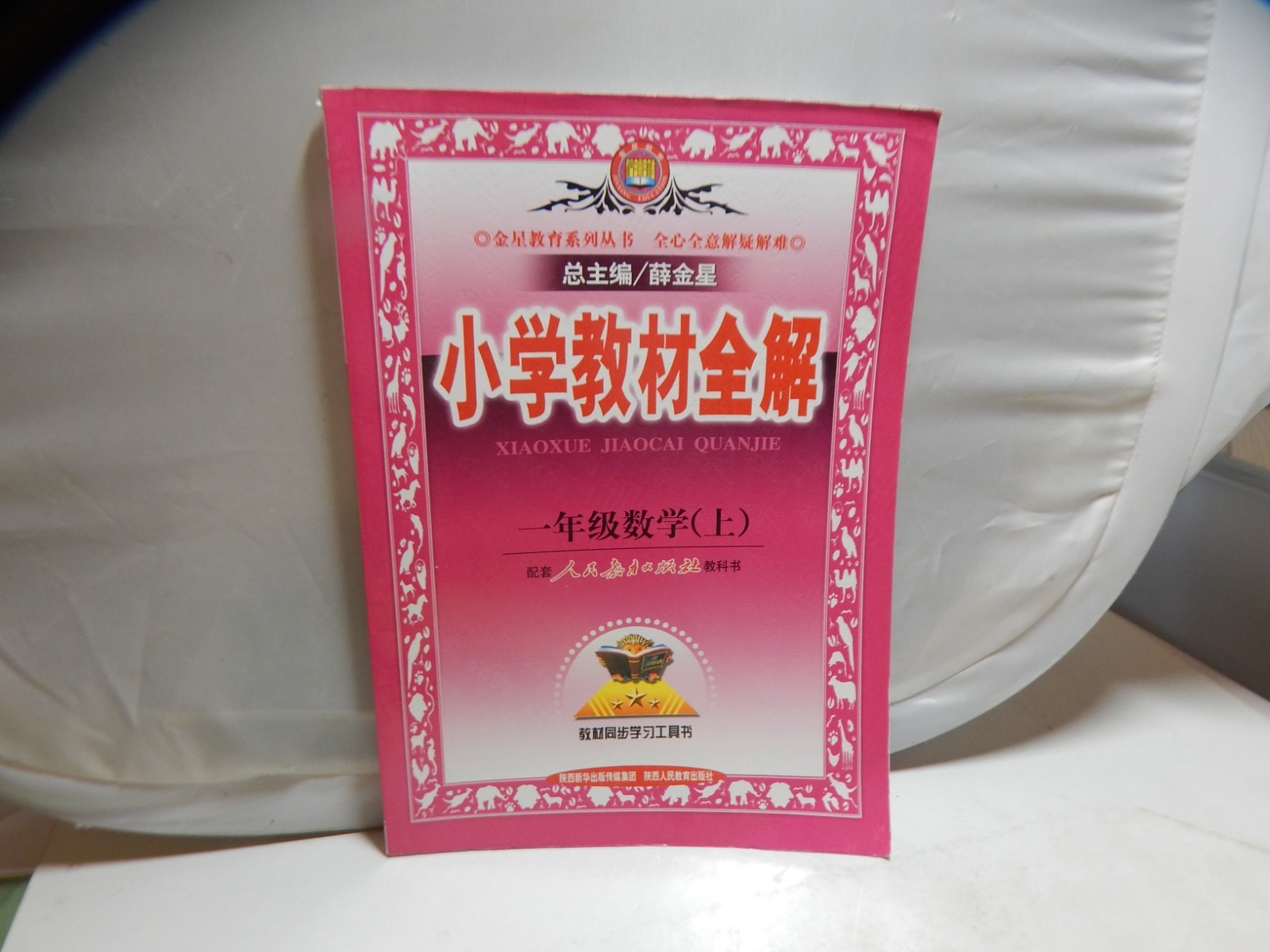 Learning Chinese Language/Characters Paperback HaFaLa Chinese Young Learners