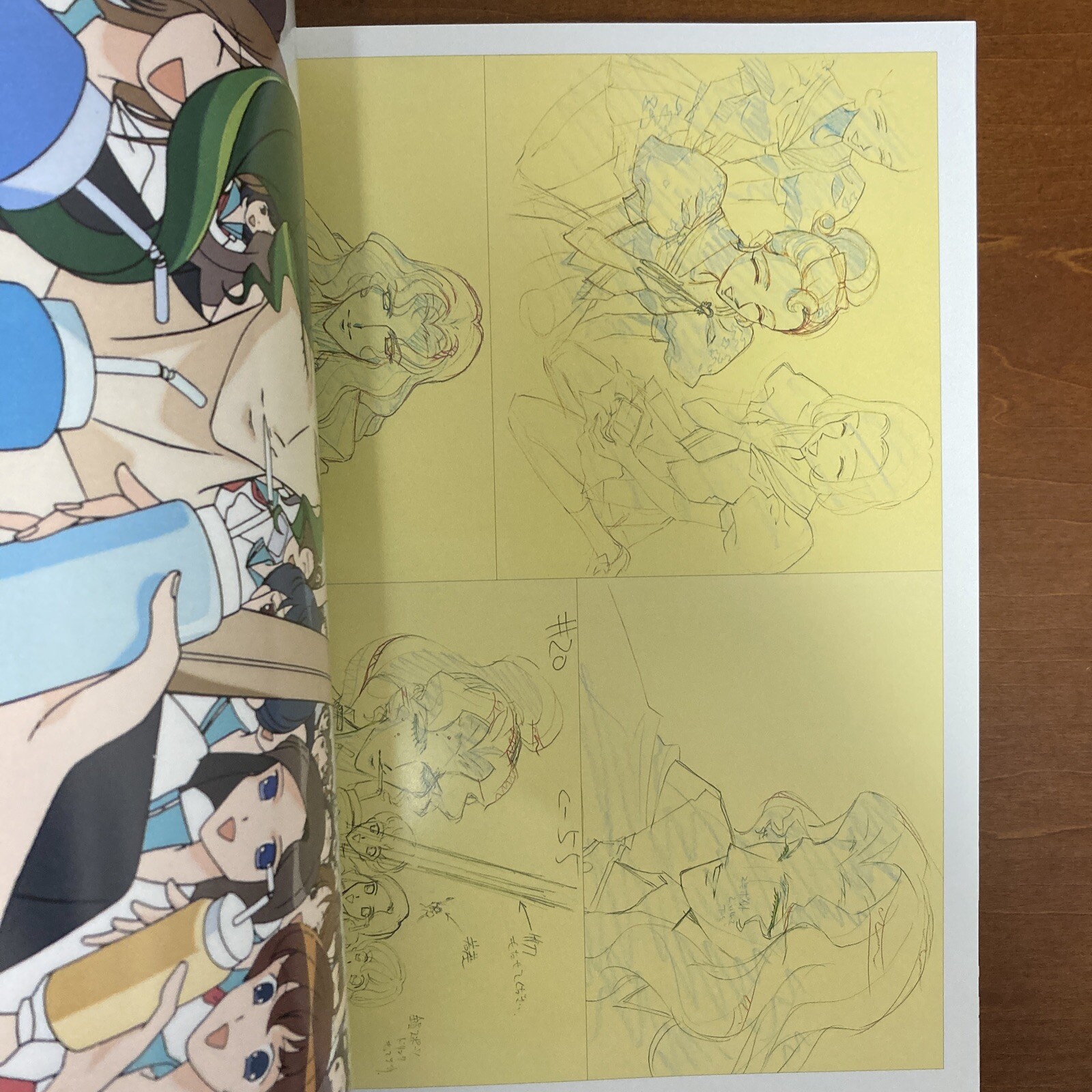 Revolutionary Girl Utena Art Book The hard core of UTENA Animation Side