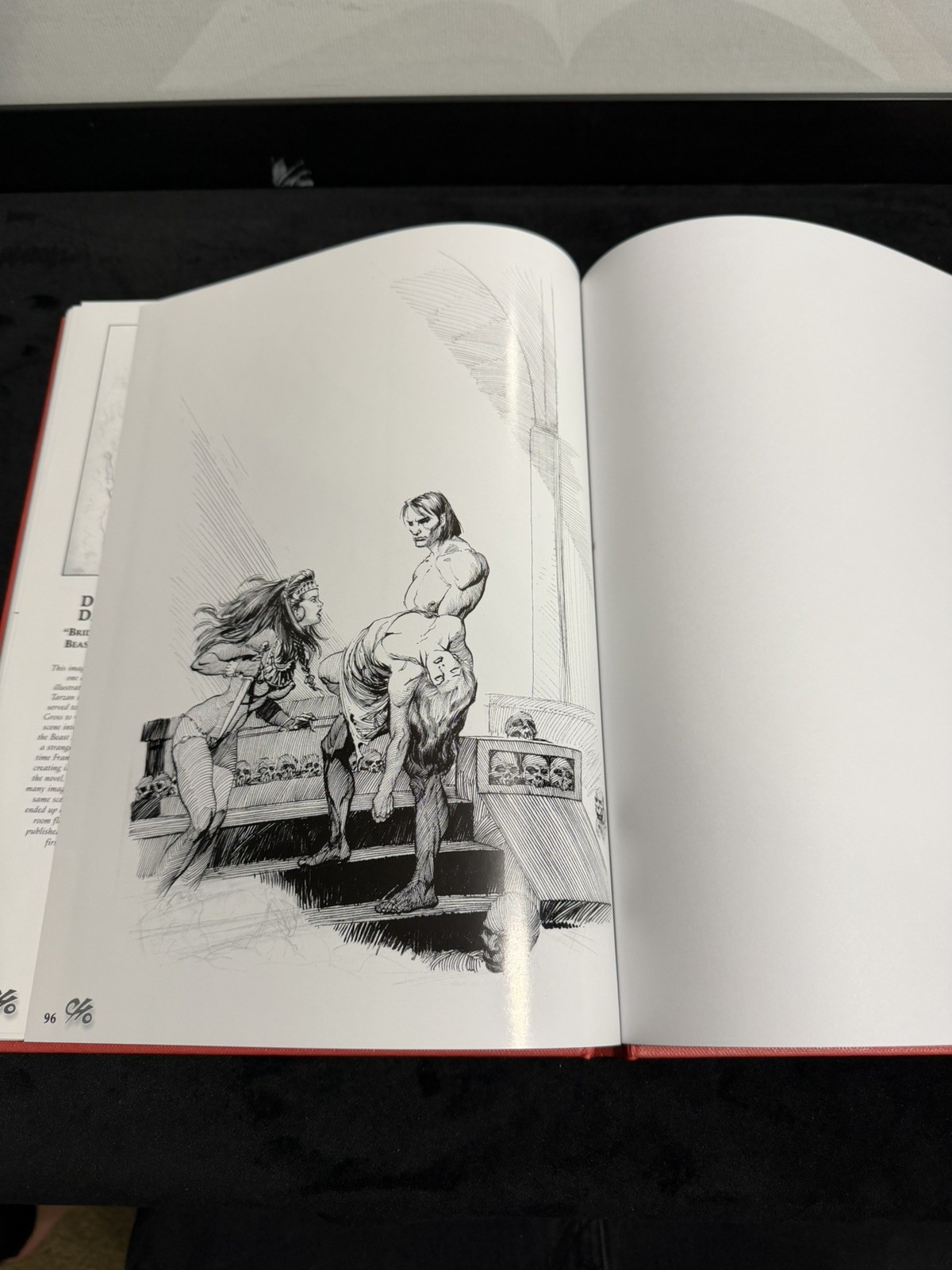 Frank Cho Illustrator, 2000, Hardcover, Regular Edition With Dust Jacket