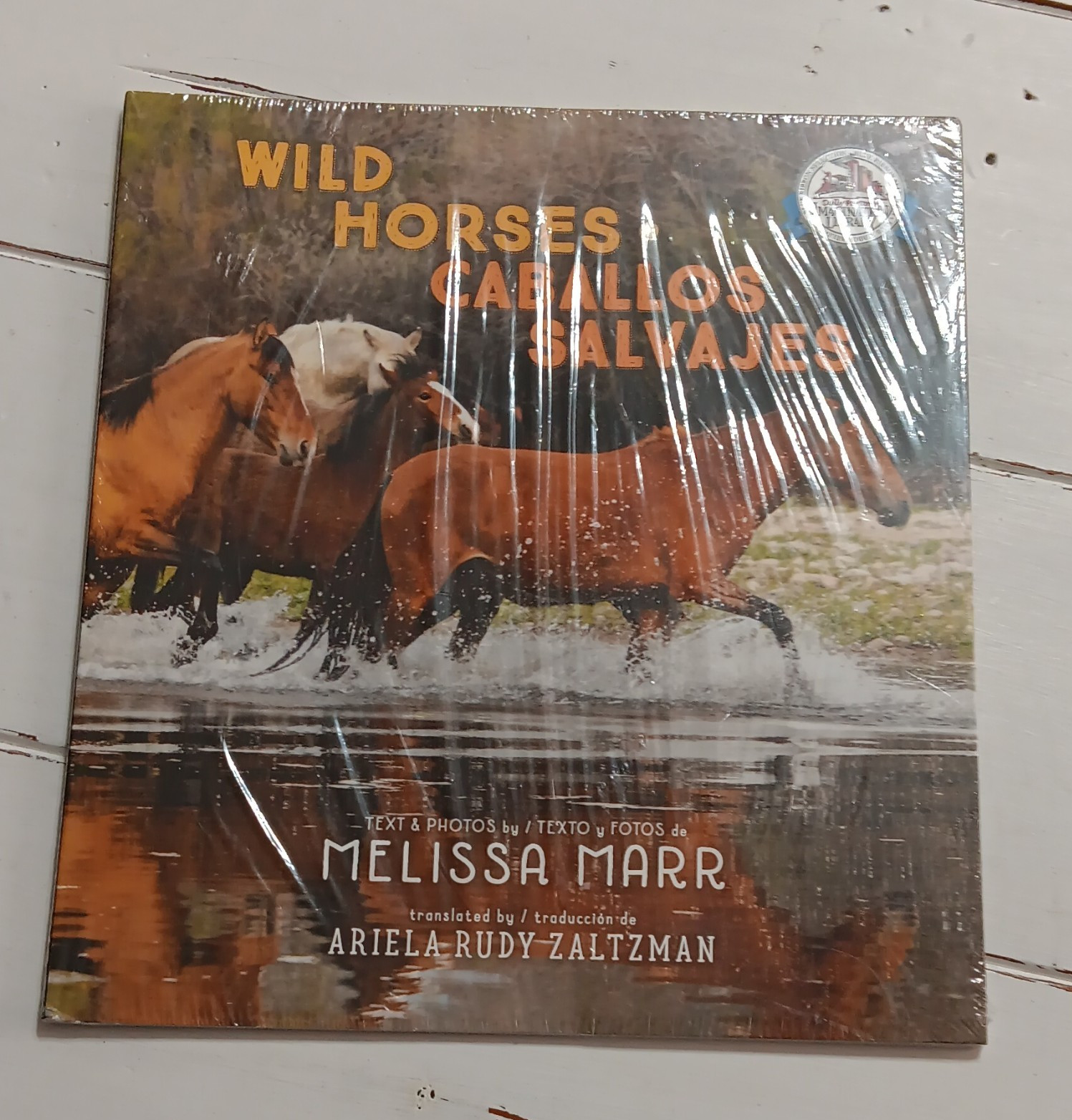 Wild Horses / Caballos Salvajes Melissa Marr HC English/Spanish