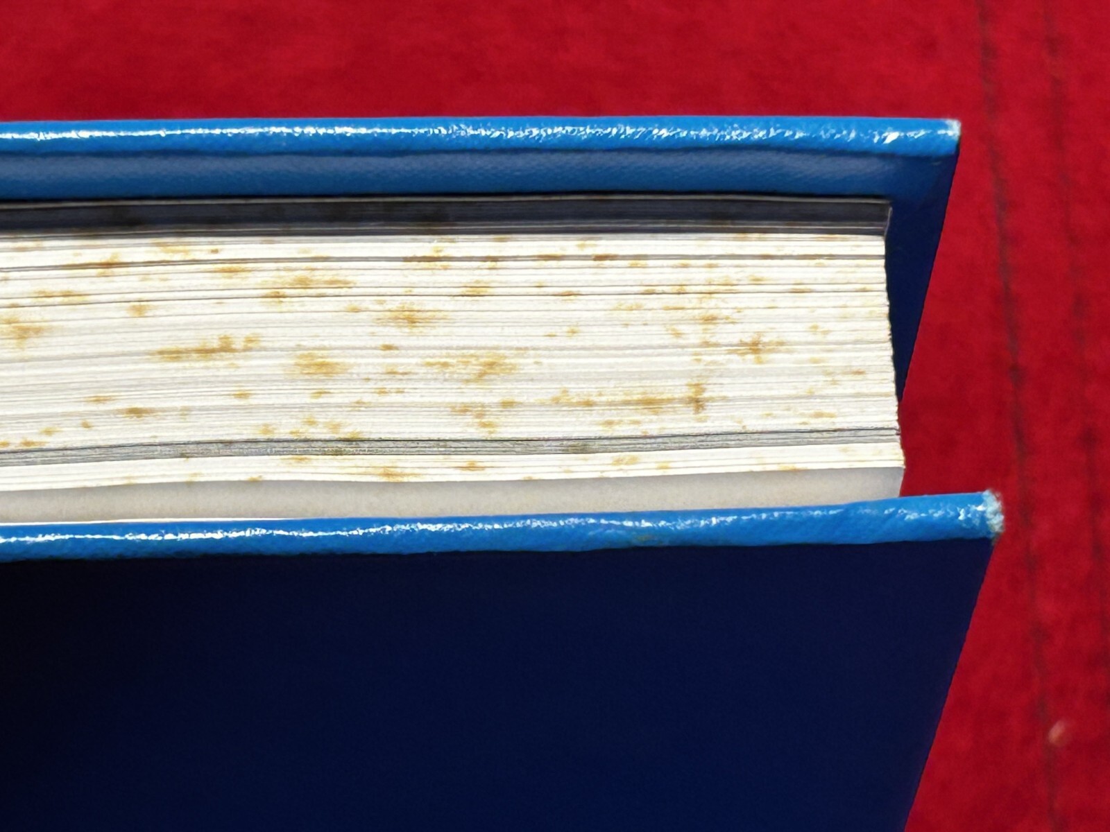 Blue Book Illustrated Price Guide to Collectible and Useable Cameras 2nd Mast Ed