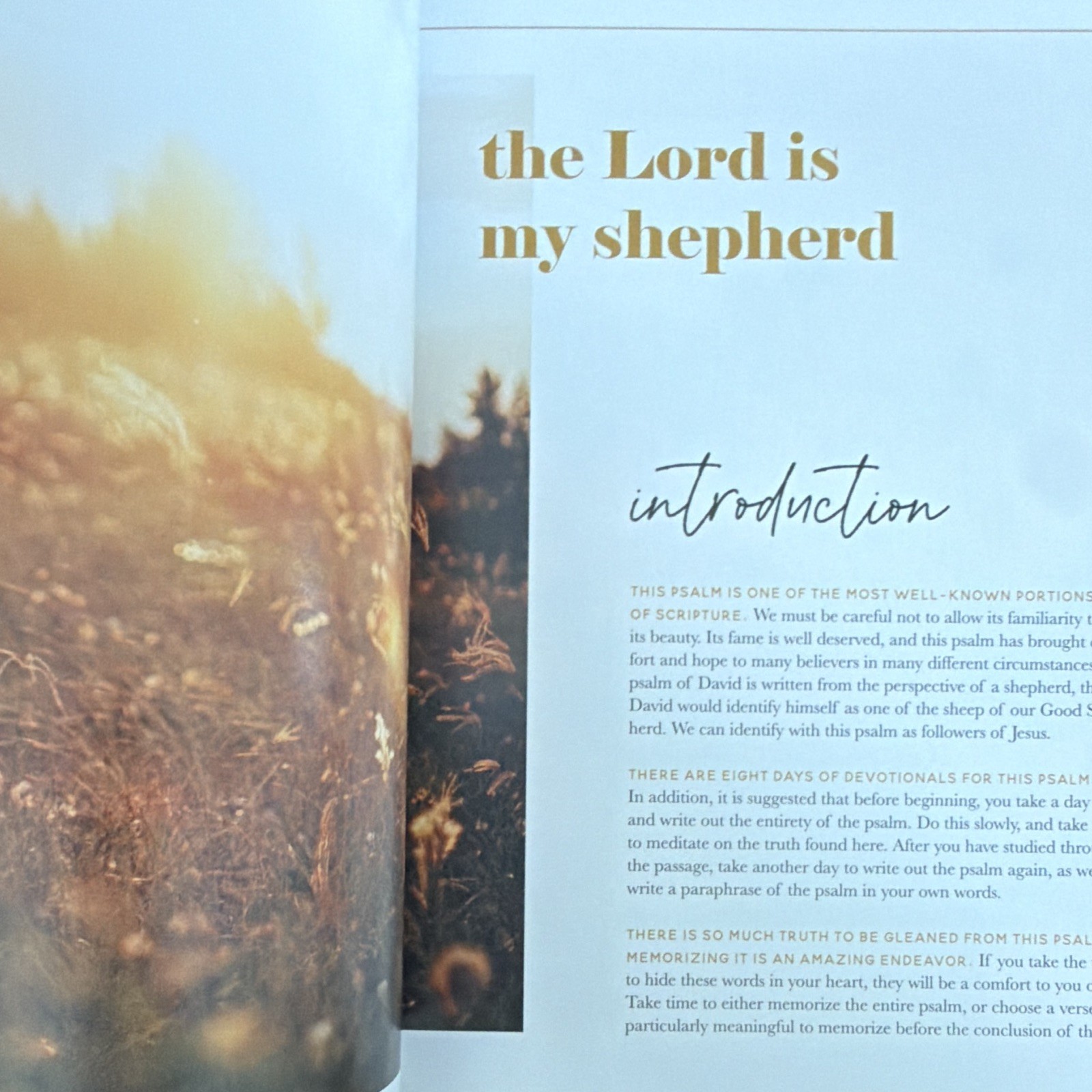 The Daily Grace Co. He Leads Me: A Study of Psalm 23 Kristin Schmucker PB 2017