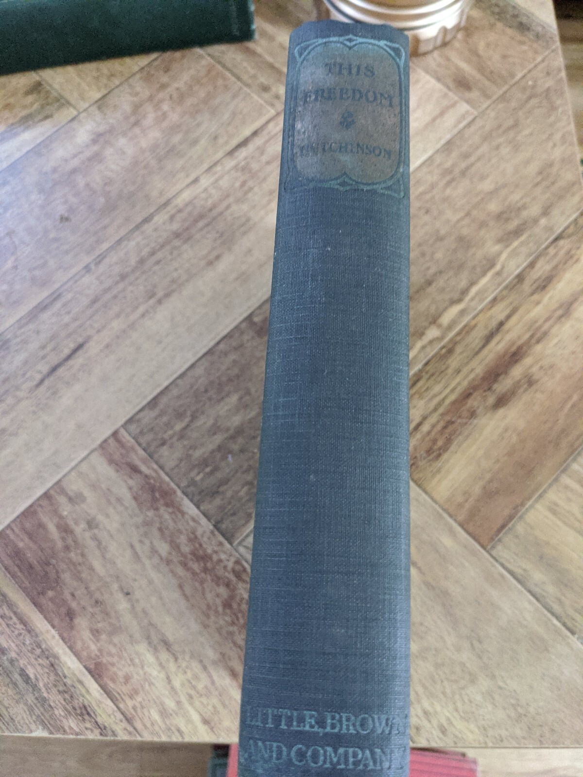 „THIS FREEDOM“ by A.S.M. HUTCHINSON Hardcover Novel (1922) 372-pages