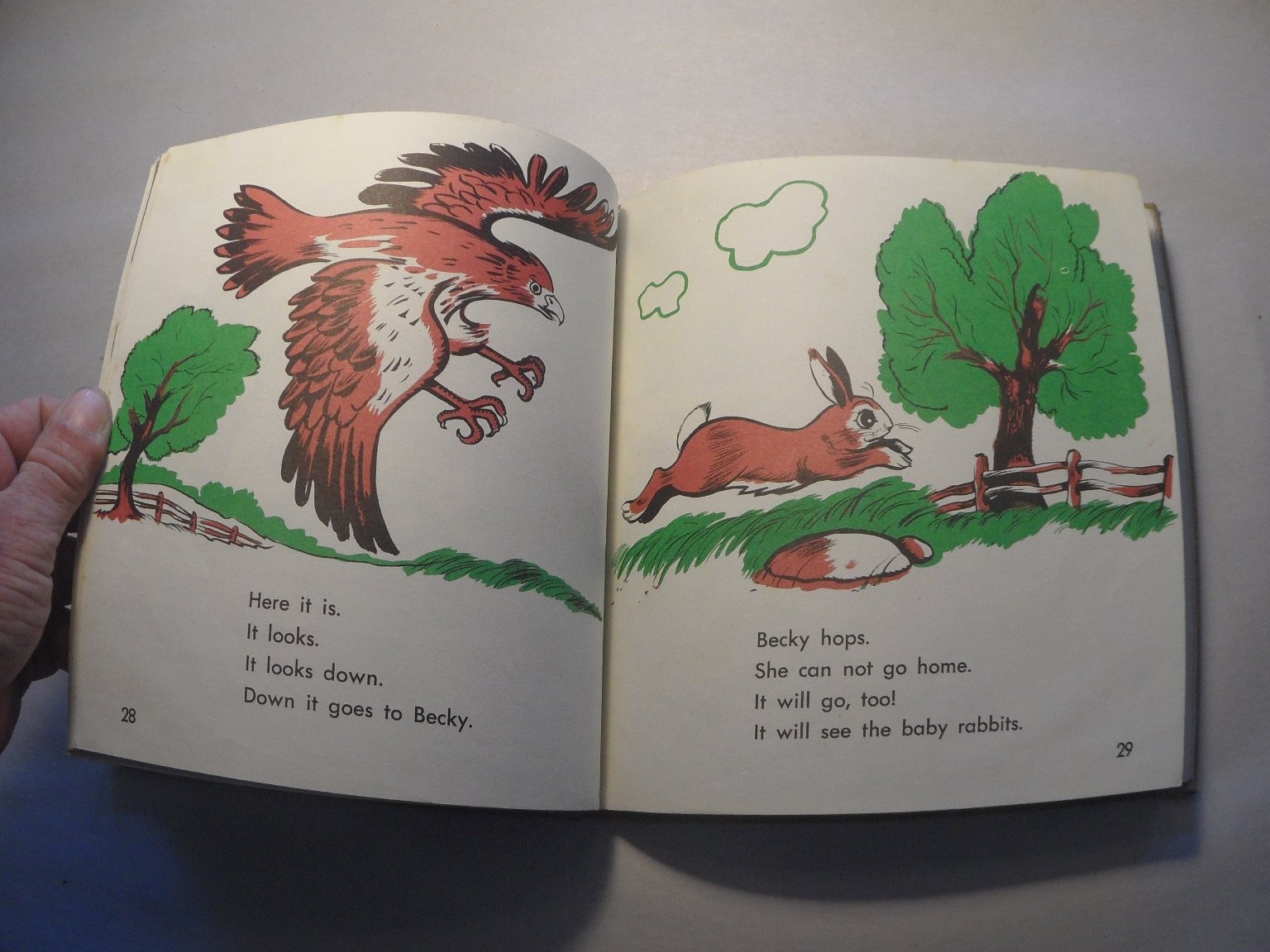 Becky, The Rabbit Gene Darby 1964 Illustrated Childrens Book Benefic Press