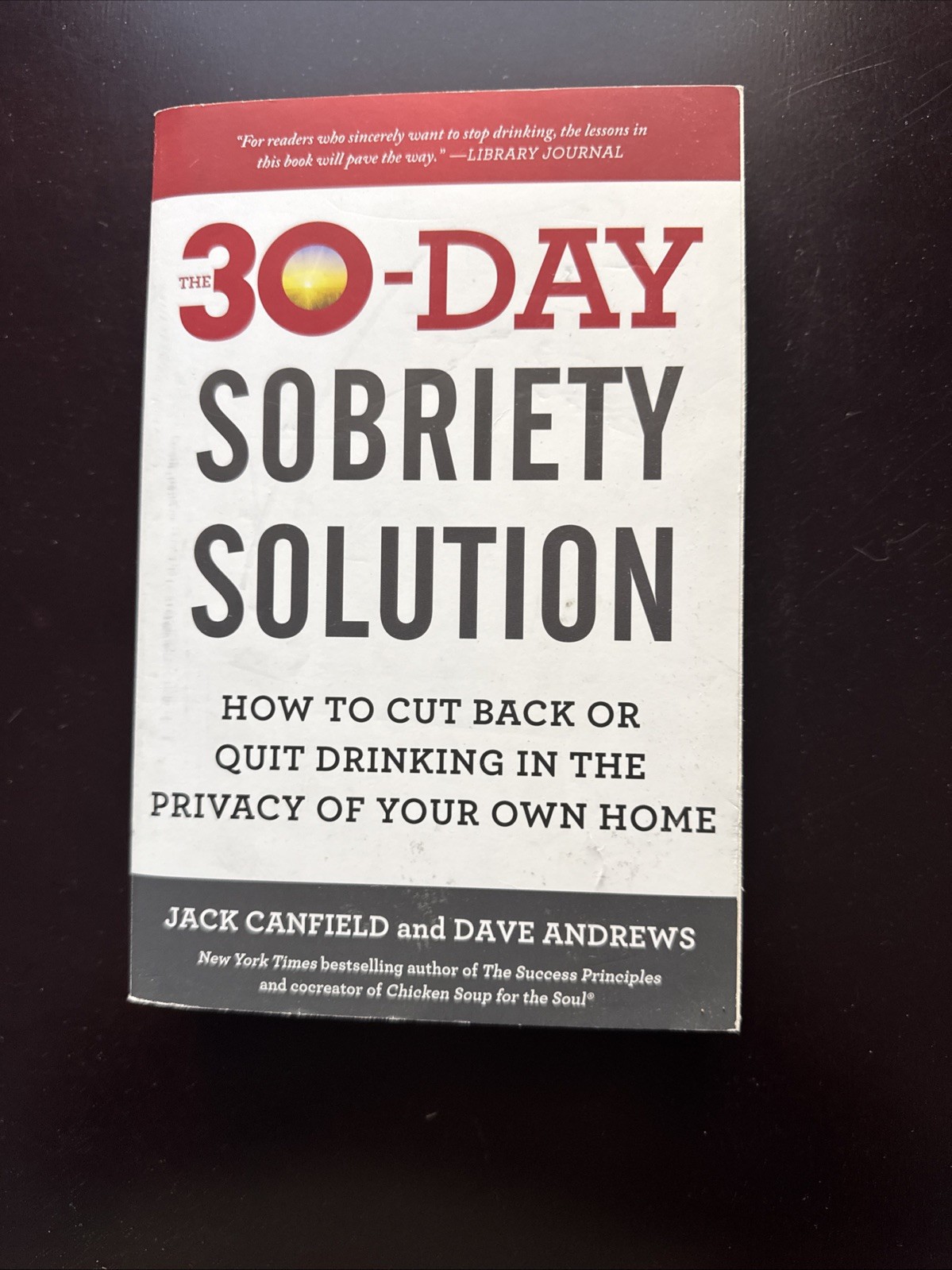30-Day Sobriety Solution : How to Cut Back or Quit Drinking in the Privacy of…