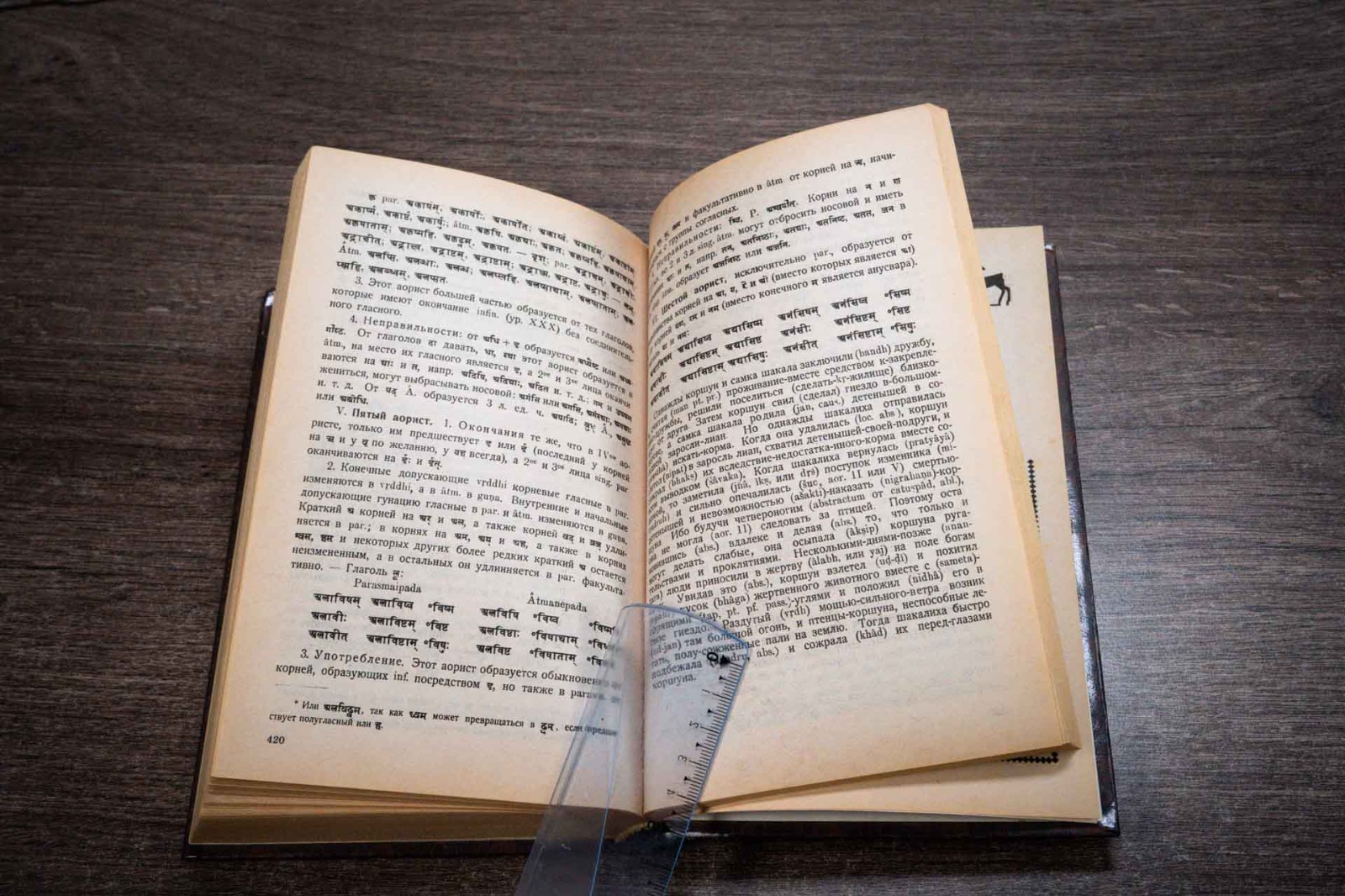Санскрит Издательство Лань 2001 Sanskrit 480 pages