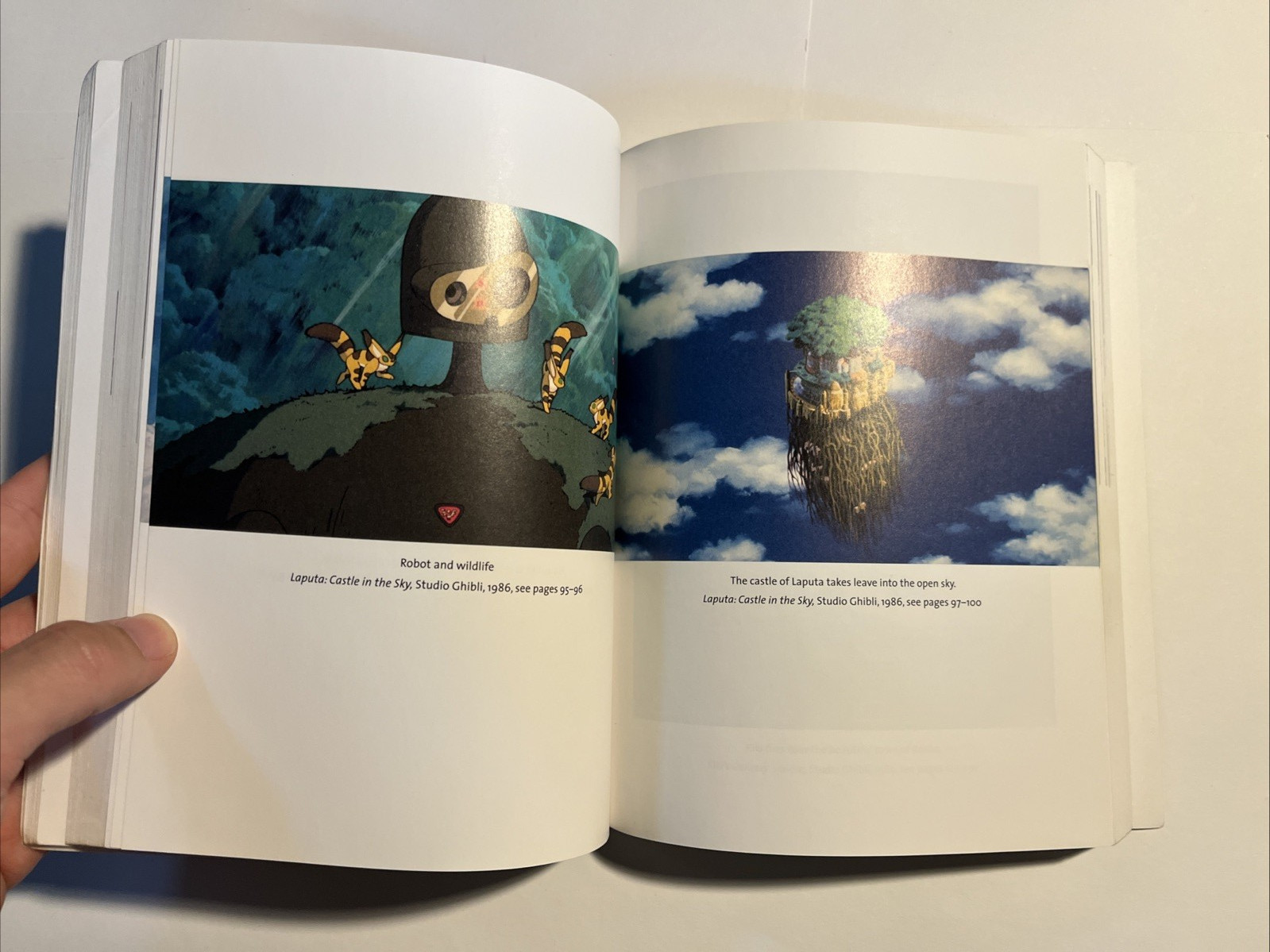 Miyazaki World: A Life in Art by Susan Napier (ACCEPTABLE)