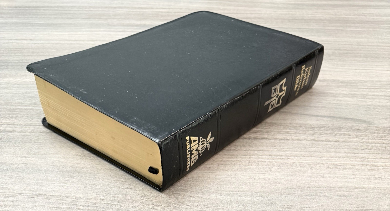 UNMARKED Salem Kirban Reference Bible KJV Bonded LEATHER King James Version AMG