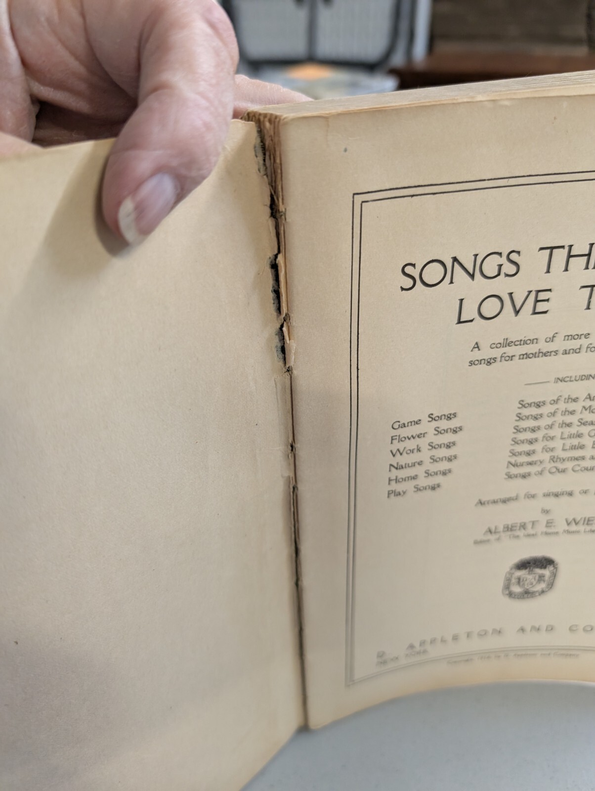 Songs the Children Love to Sing D Appleton Co 300 songs 1916 A 250318