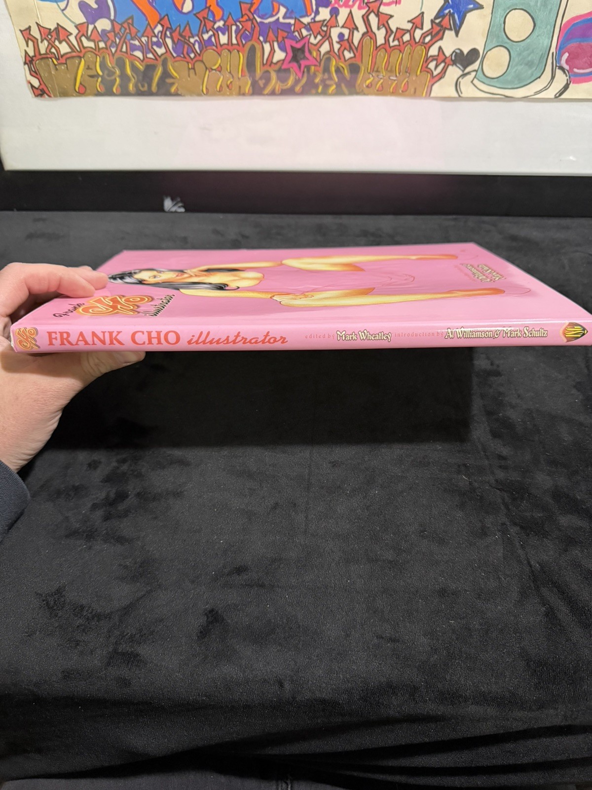 Frank Cho Illustrator, 2000, Hardcover, Regular Edition With Dust Jacket