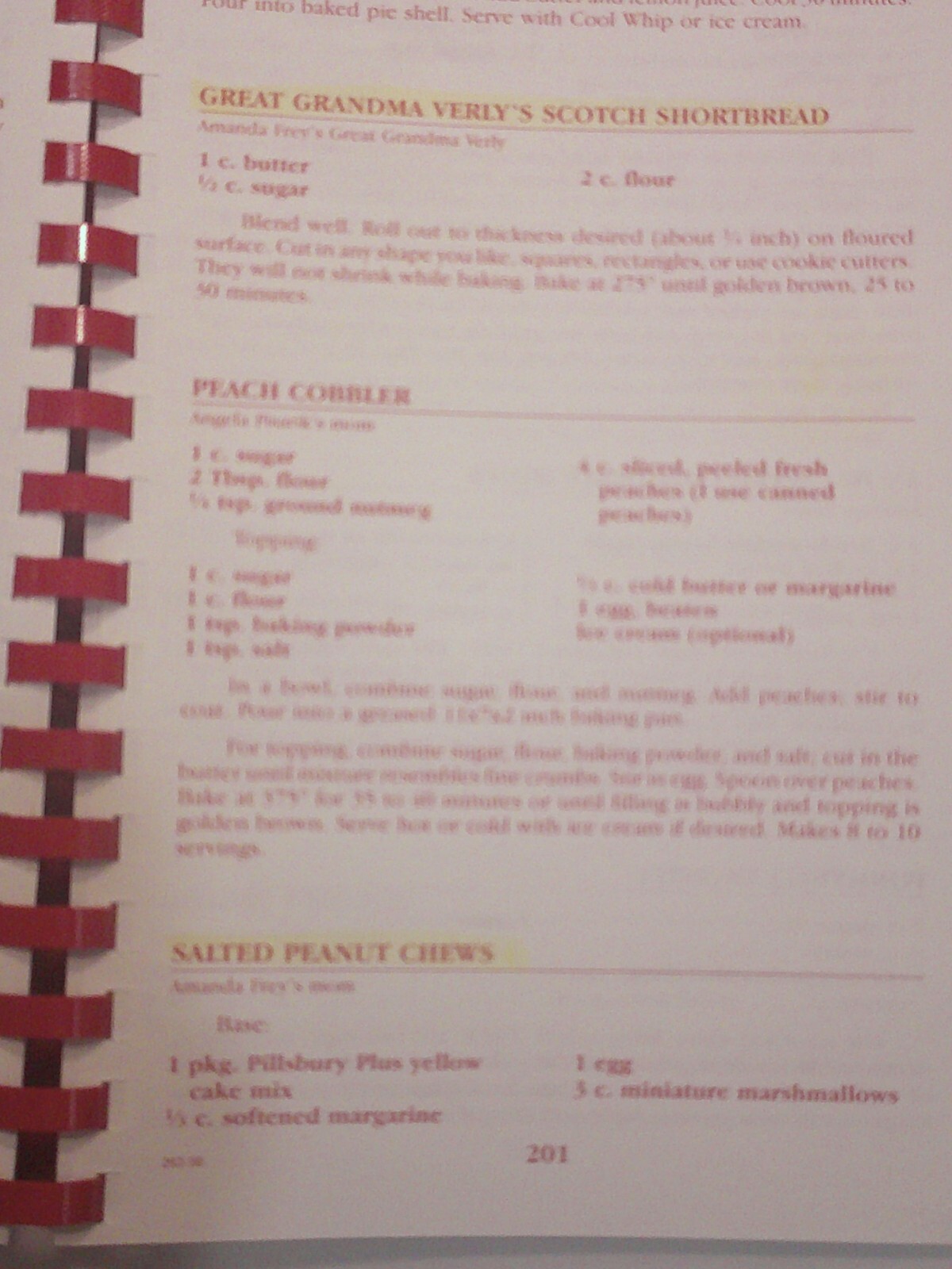 1998 Northern Hills Elementary School Family Favorite Cookbook 232 pages