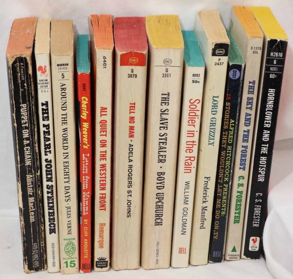 Lot of 12 Vintage Paperbacks, 1960s Copyrights, No Duplicates, B529