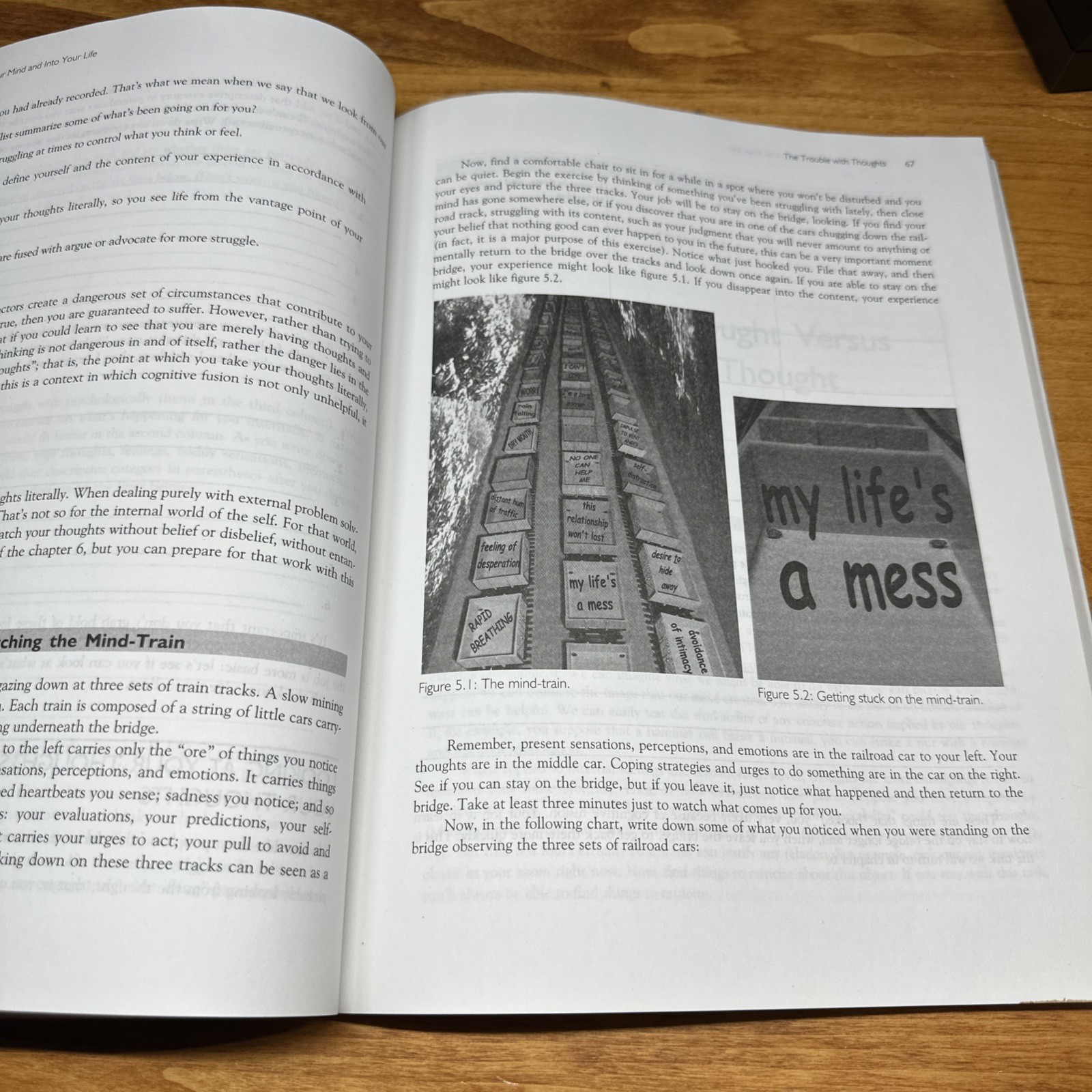 Get Out of Your Mind & into Your Life: Acceptance Commitment Therapy Hayes Clean