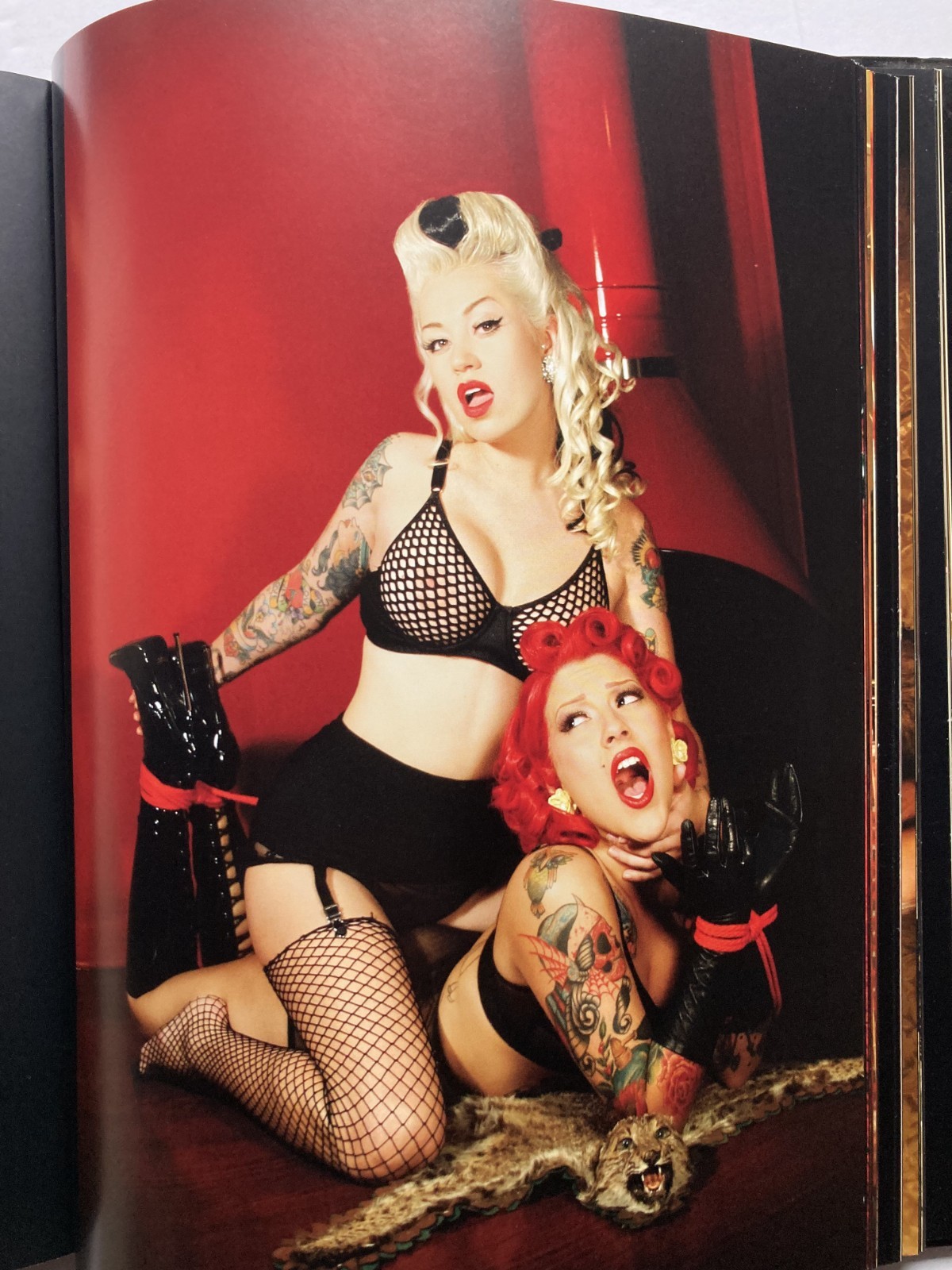 VIVA’S PINUPS – BULLET BRAS AND BACKSEAT BETTIES / VIVA VAN STORY / HARDBOUND