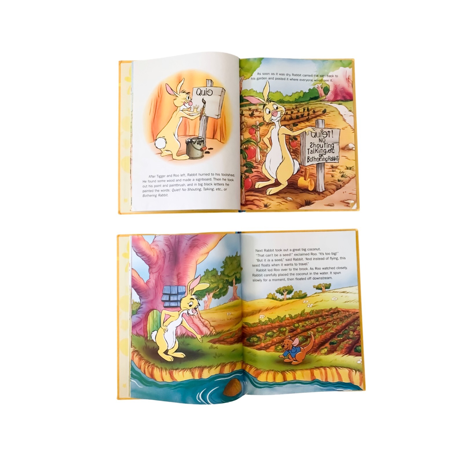 Disney’s“ Out & About With Pooh“ There’s No Place Like Home, Rabbit’s Ears x 2