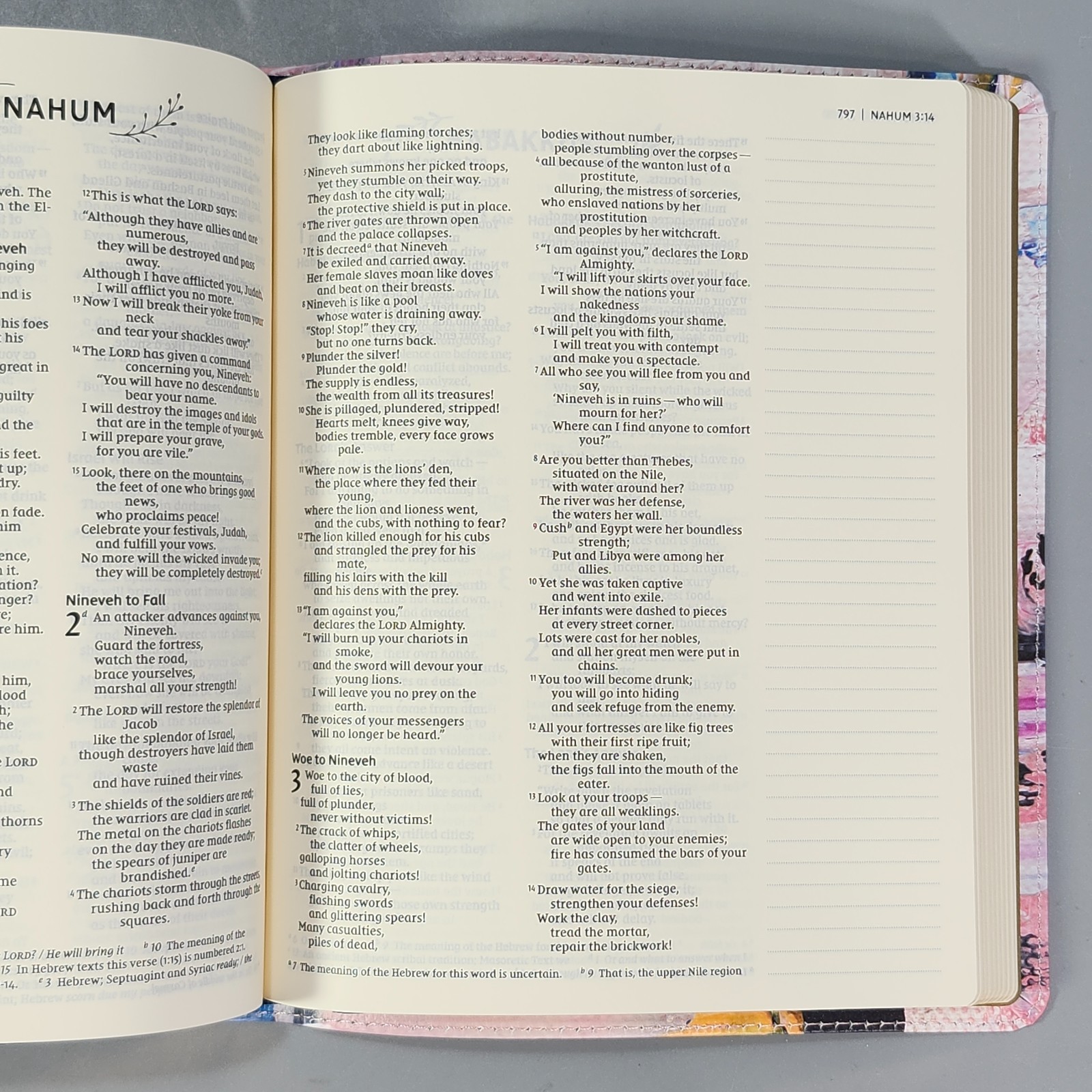 Zondervan NIV Artisan Collection Bible Jesus Word in Red Leathersoft Multicolor
