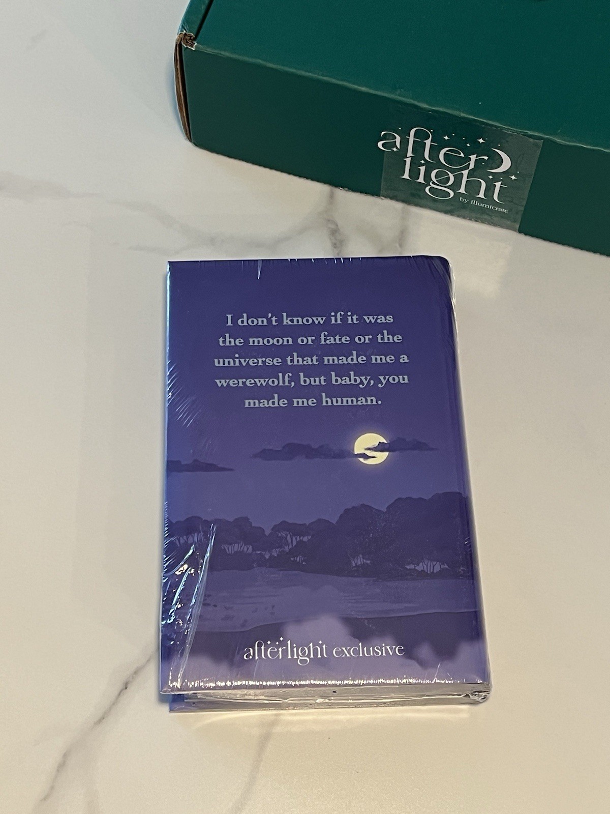 ILLUMICRATE AFTERLIGHT Fan Service Rosie Danan March Book SIGNED Sprayed HB
