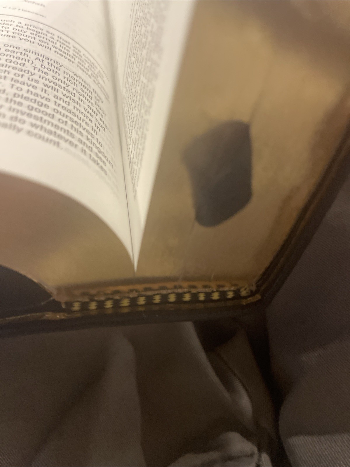 NIV Thinline Bible by Zondervan Staff (2005, Leather)