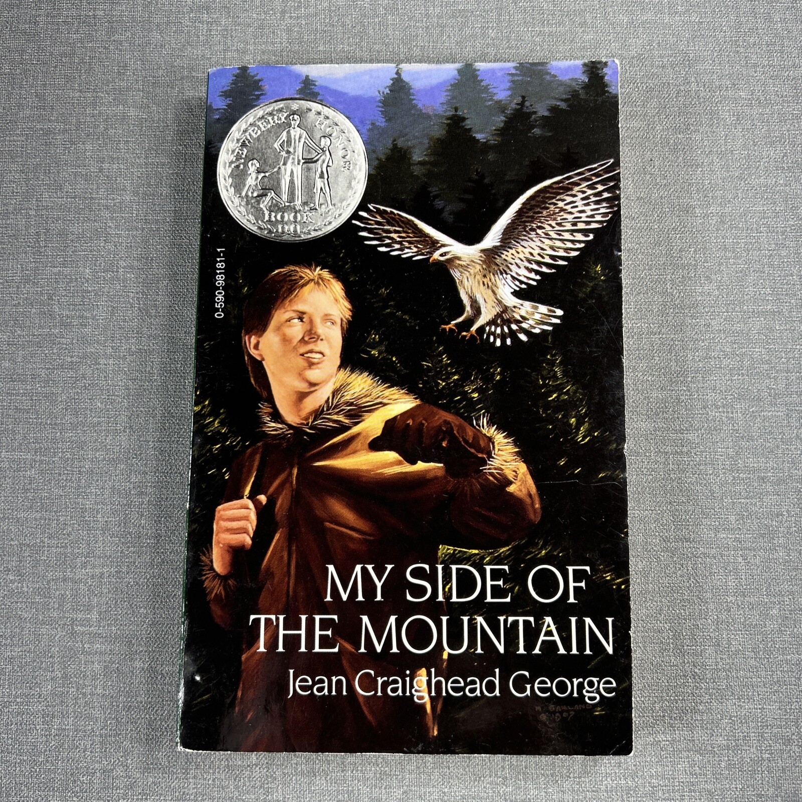 My Side of the Mountain & Julie’s Wolf Pack Jean Craighead George 2 Book Lot