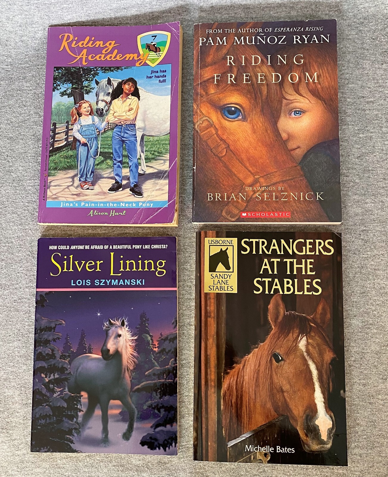 Horse Equestrian Books 29 in Lot 5HC & 24PB Chapter Picture Riding Veterinarian
