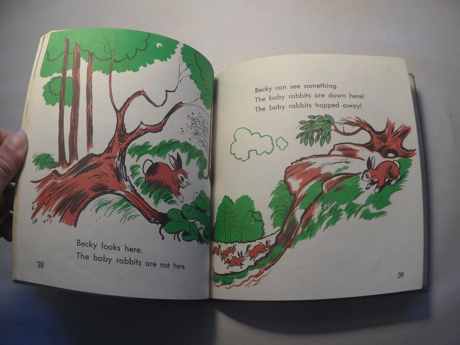 Becky, The Rabbit Gene Darby 1964 Illustrated Childrens Book Benefic Press