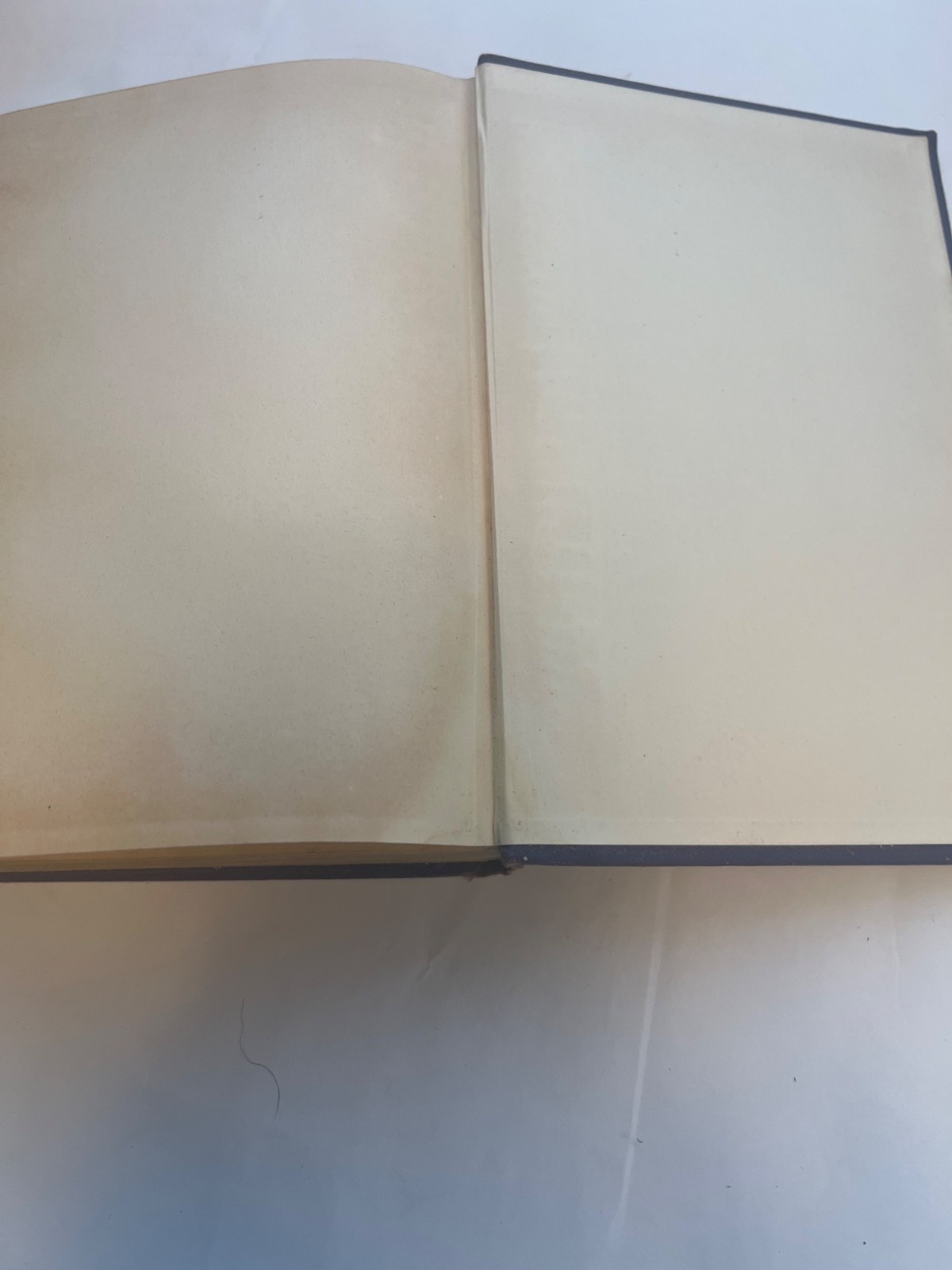 Sex In Civilization By V. F. Calverton & S. D. Schmalhausen 1930 Hardcover Book