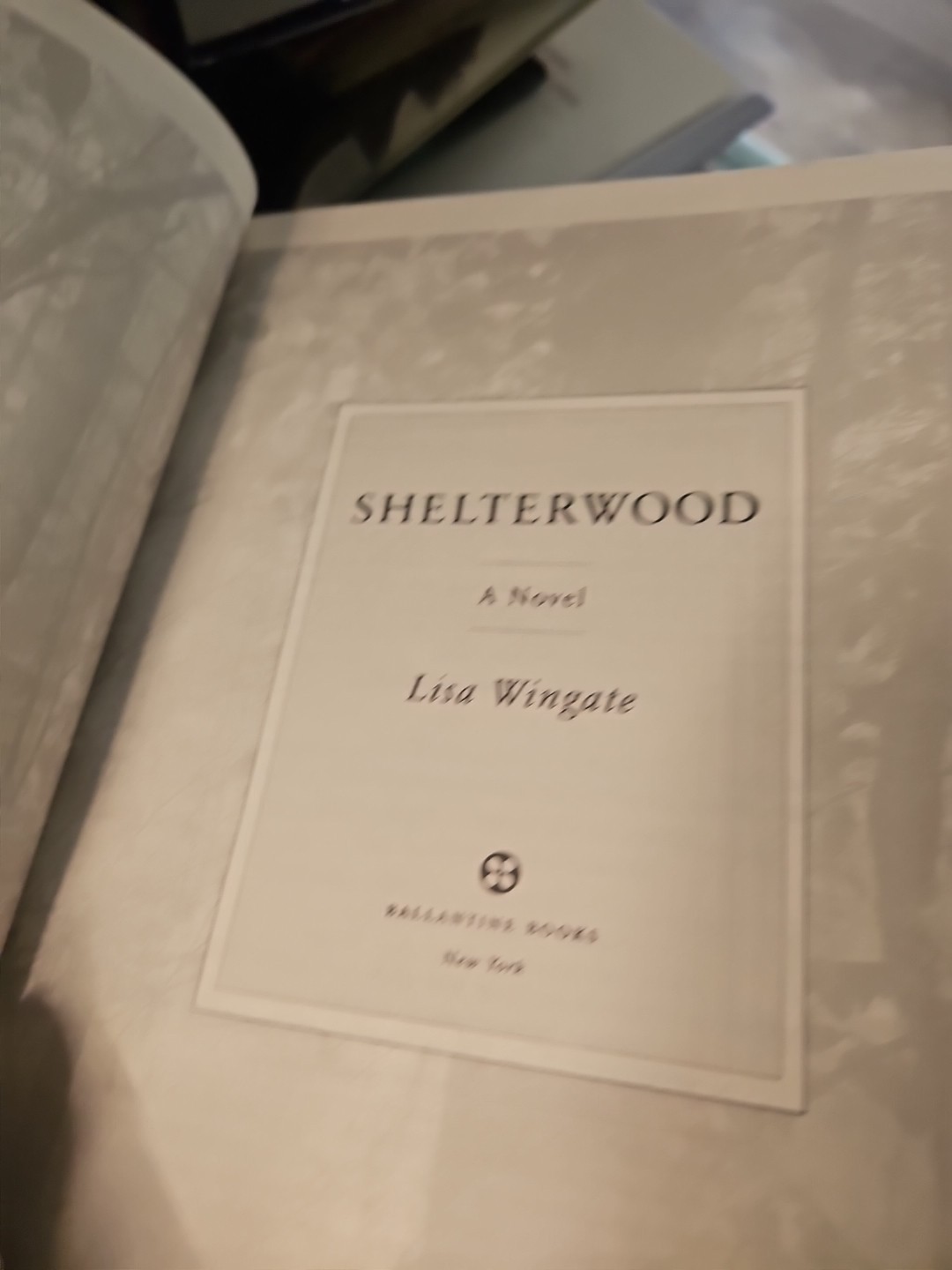 Shelterwood By Lisa Wingate HC DJ Like New Condition 1st Edition K3