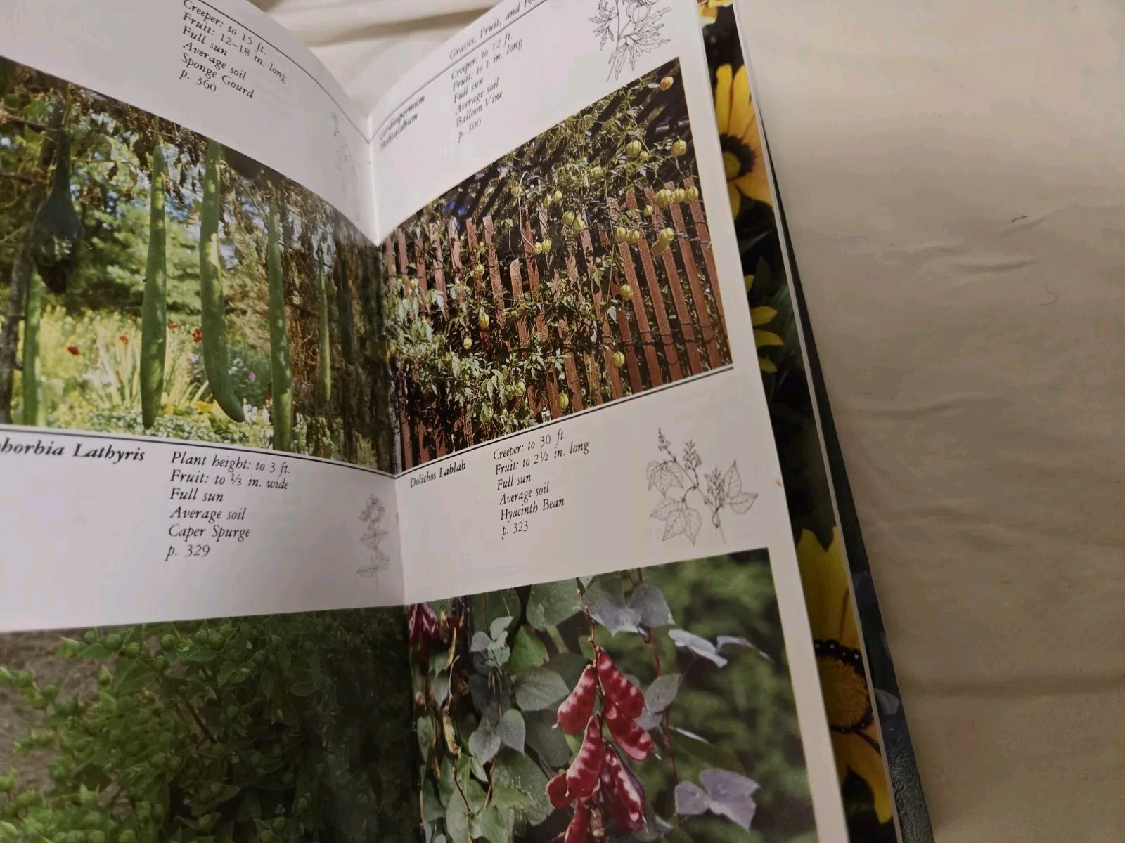 Taylor’s Guides to Gardening: Annuals, Bulbs,Perennials First Editions Softcover