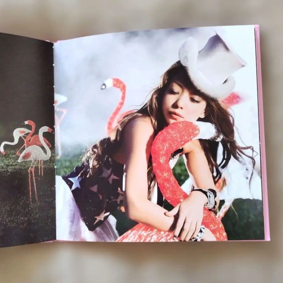 Namie Amuro BEST FICTION TOUR 20082009 Official Photo Book 10.2×10.2in