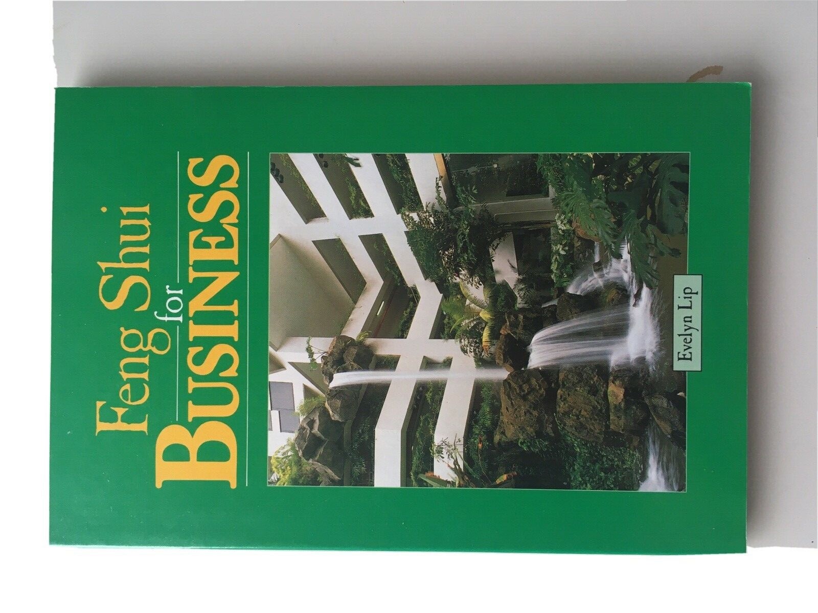 Feng Shui for Business by Evelyn Lip (1990 Paperback.