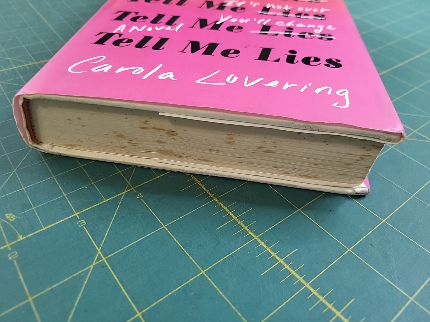 Tell Me Lies: A Novel by Carola Lovering 2018 Hardcover First Atria Edition DJ