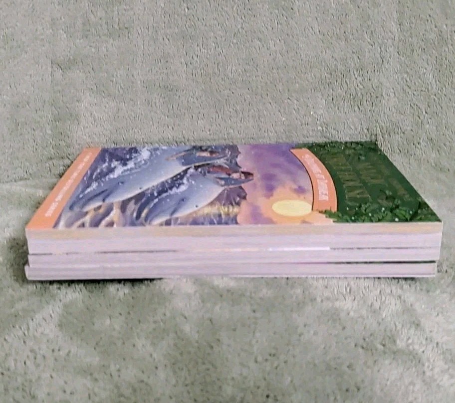 Magic Tree House Boxed Chapter Book Set Volumes 9-12 by Mary Pope Osborne LV-4