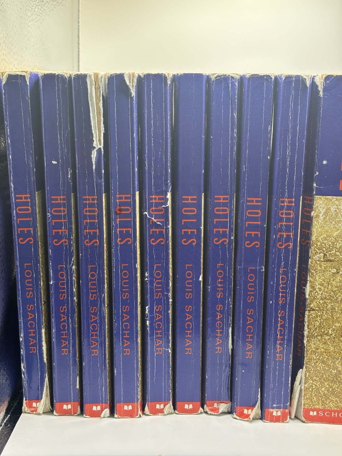 HOLES Class Set Louis Sachar Newberry Guided Reading lot of 10 books novel