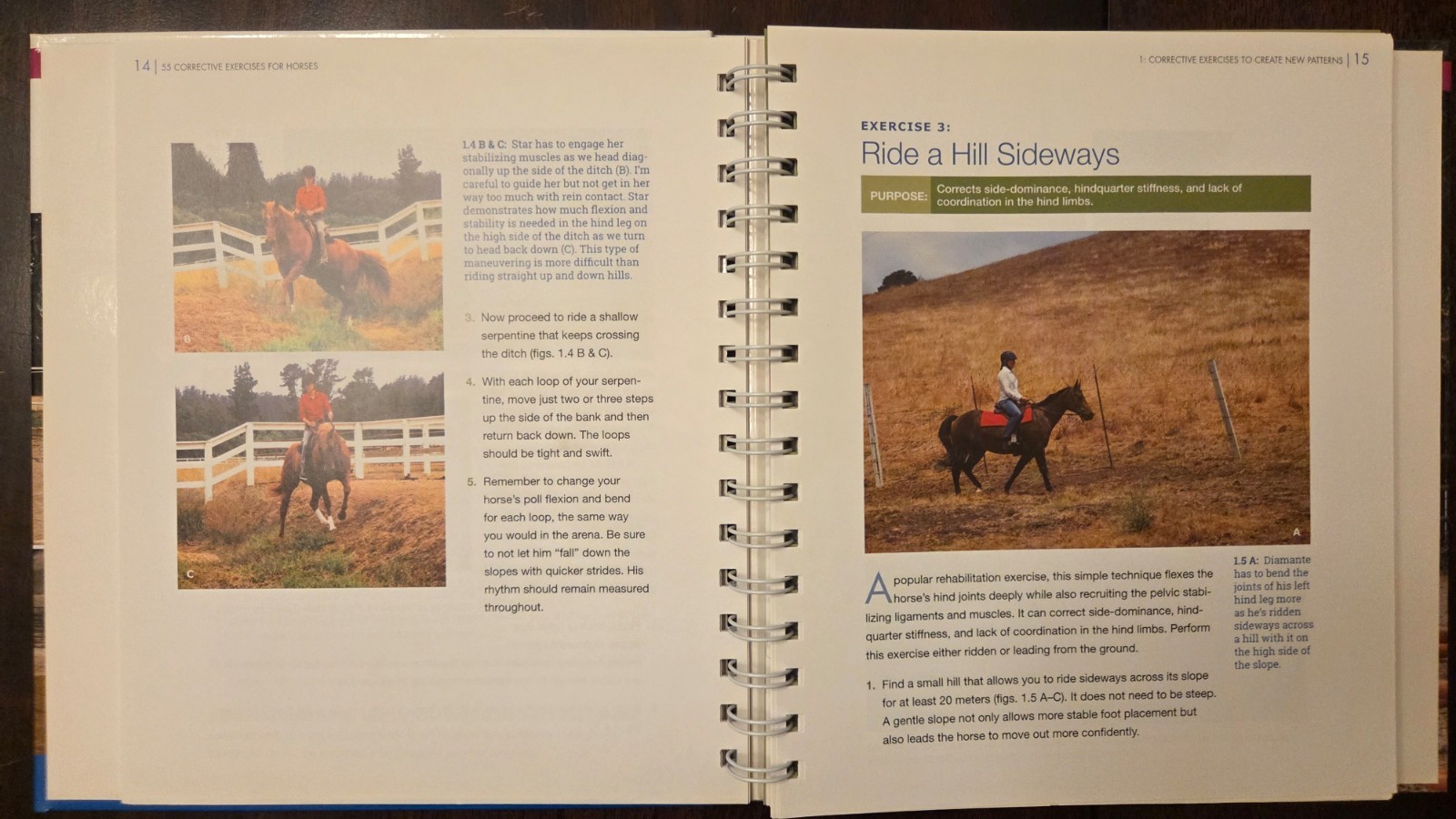 55 Corrective Exercises for Horses : Resolving Postural Problems, -VG