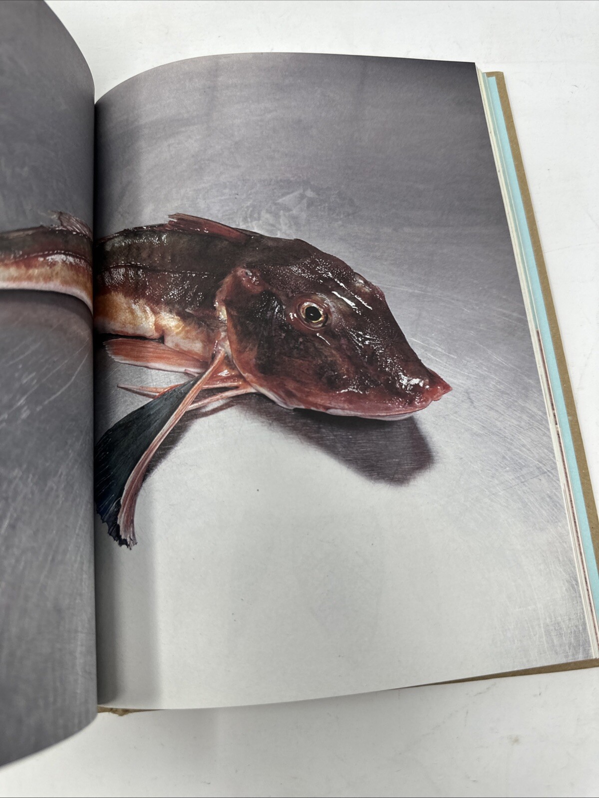 Great British Food Cookbook Canteen Ebury Press By Titcombe Lake Clayton-Malone