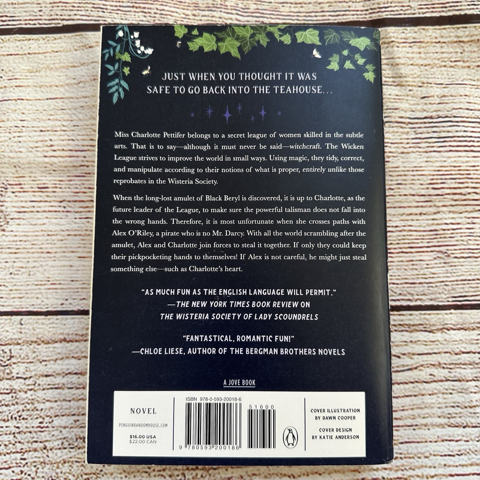 The League of Gentlewomen Witches Book 2 of 3 Dangerous Damsels By India Holton
